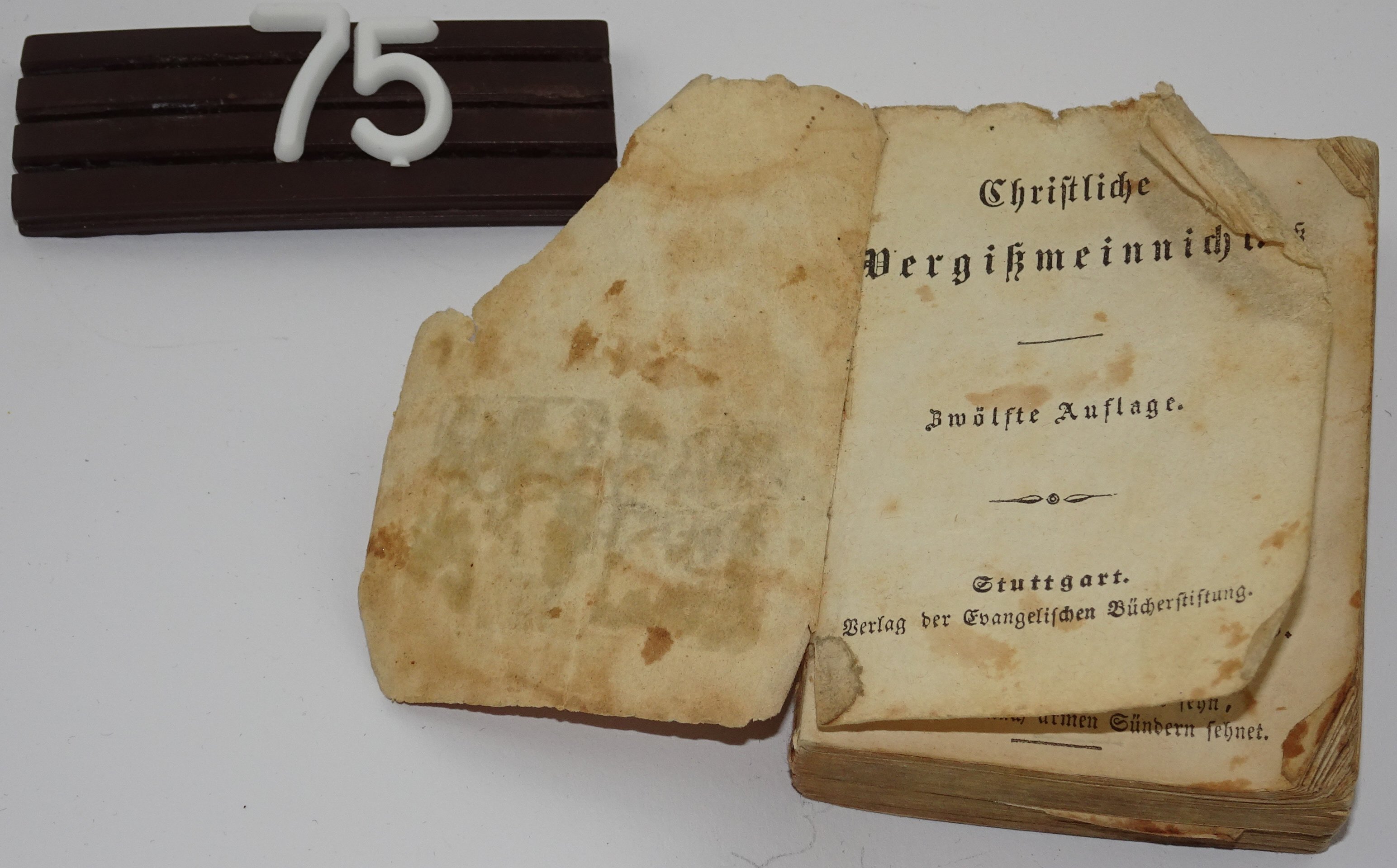 Christliches Vergißmeinnicht (Museum sächsisch-böhmisches Erzgebirge - Bergmagazin CC BY-NC-SA)