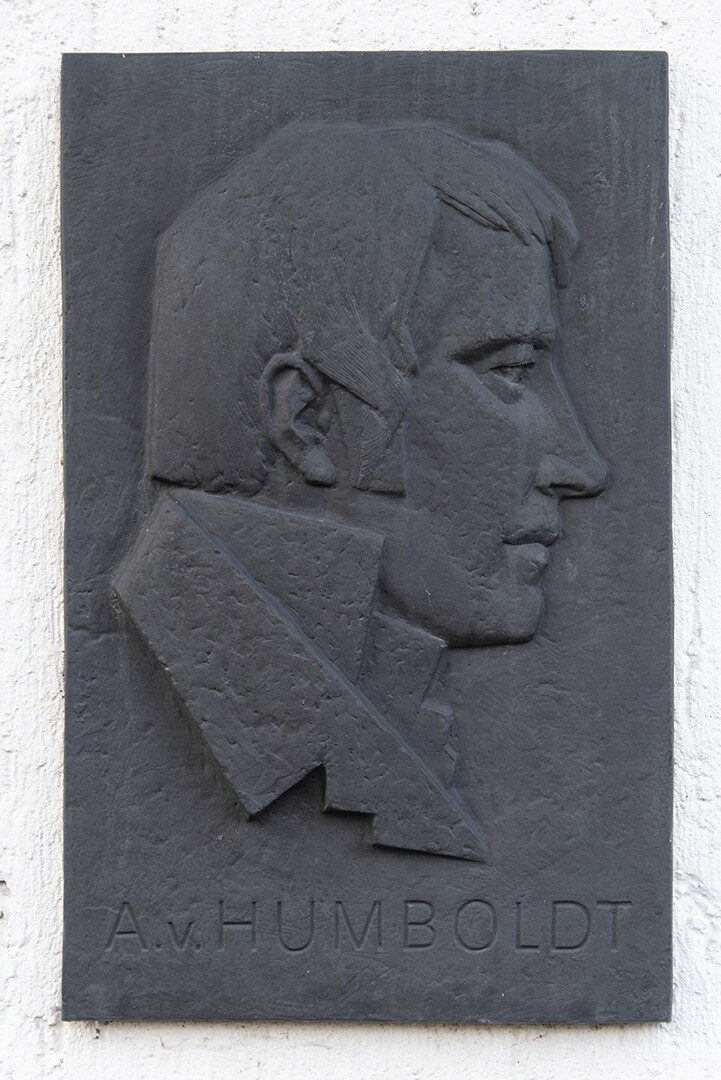 Porträt Alexander von Humboldt im Profil nach rechts (Stadt- und Bergbaumuseum Freiberg CC BY-NC-SA)