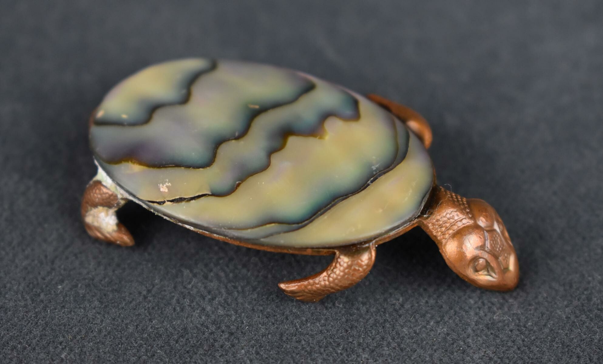 Brosche "Schildkröte" (Perlmutter- und Heimatmuseum Adorf CC BY-NC-SA)