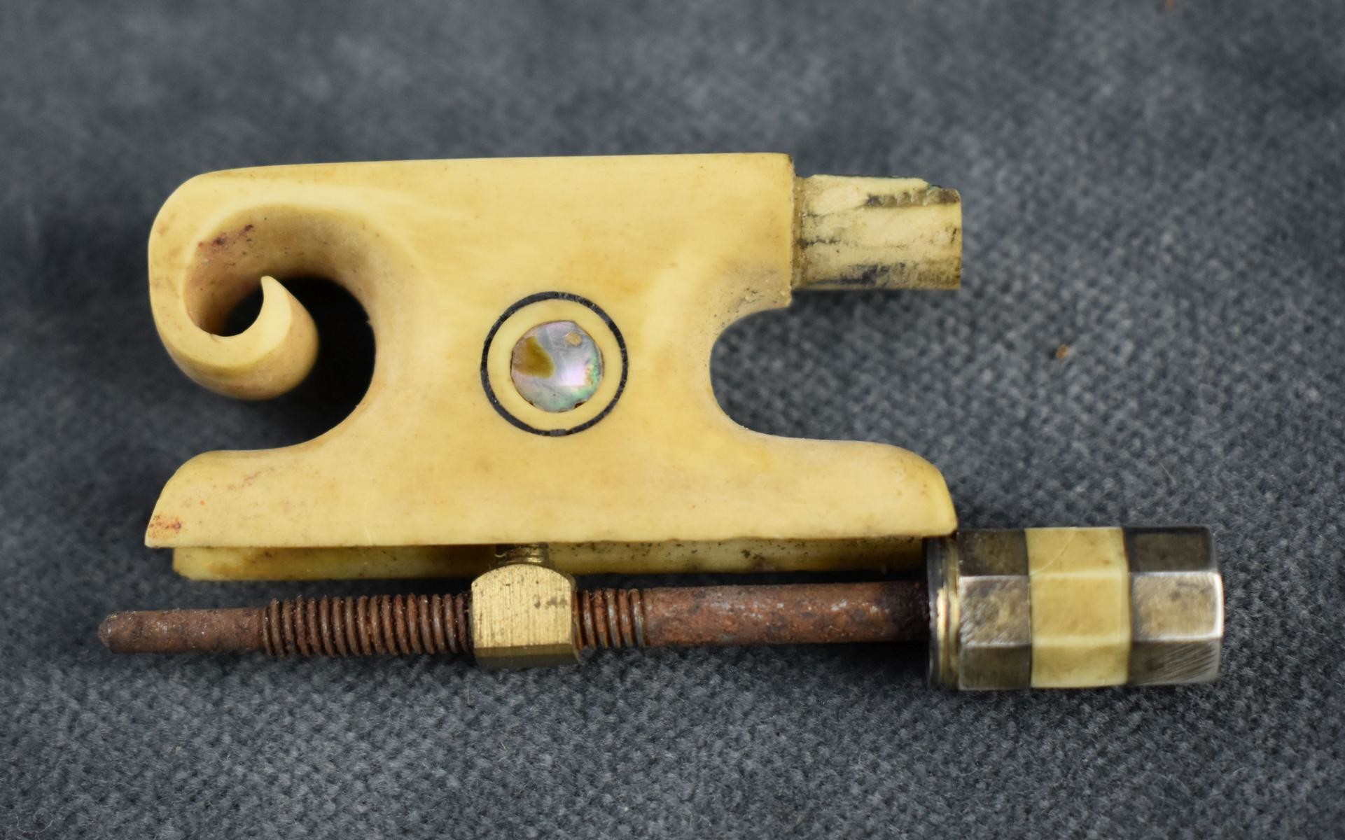 Geigen-Frosch aus Elfenbein (Perlmutter- und Heimatmuseum Adorf CC BY-NC-SA)