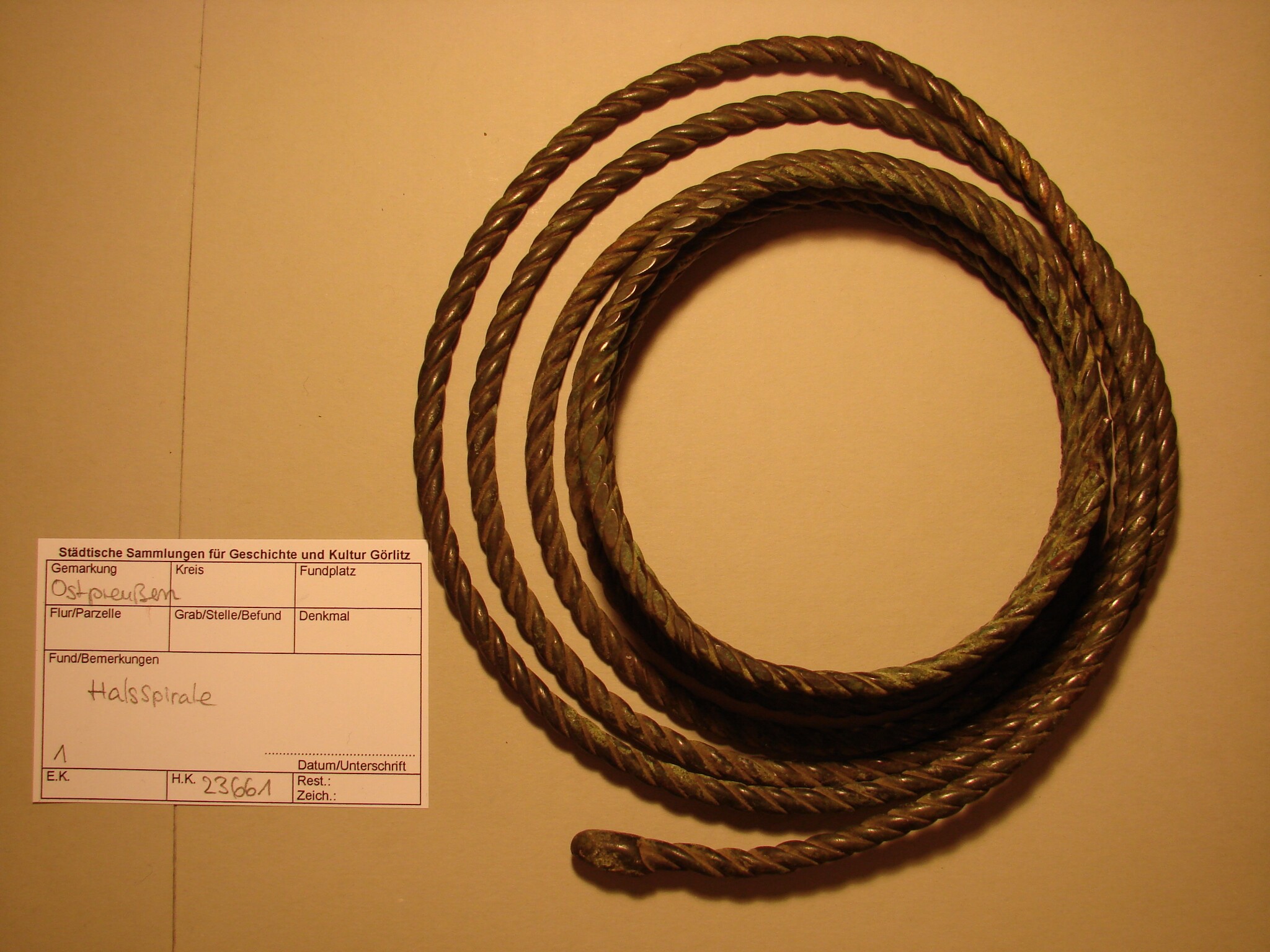 große Halsspirale (Kulturhistorisches Museum Görlitz CC BY-NC-SA)