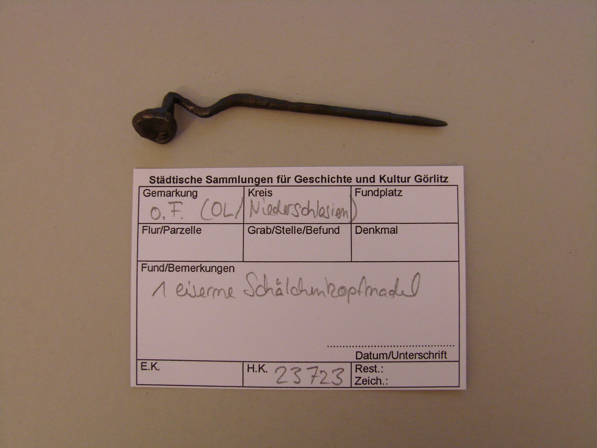 Schälchenkopfnadel mit Schwanenhals (Kulturhistorisches Museum Görlitz CC BY-NC-SA)