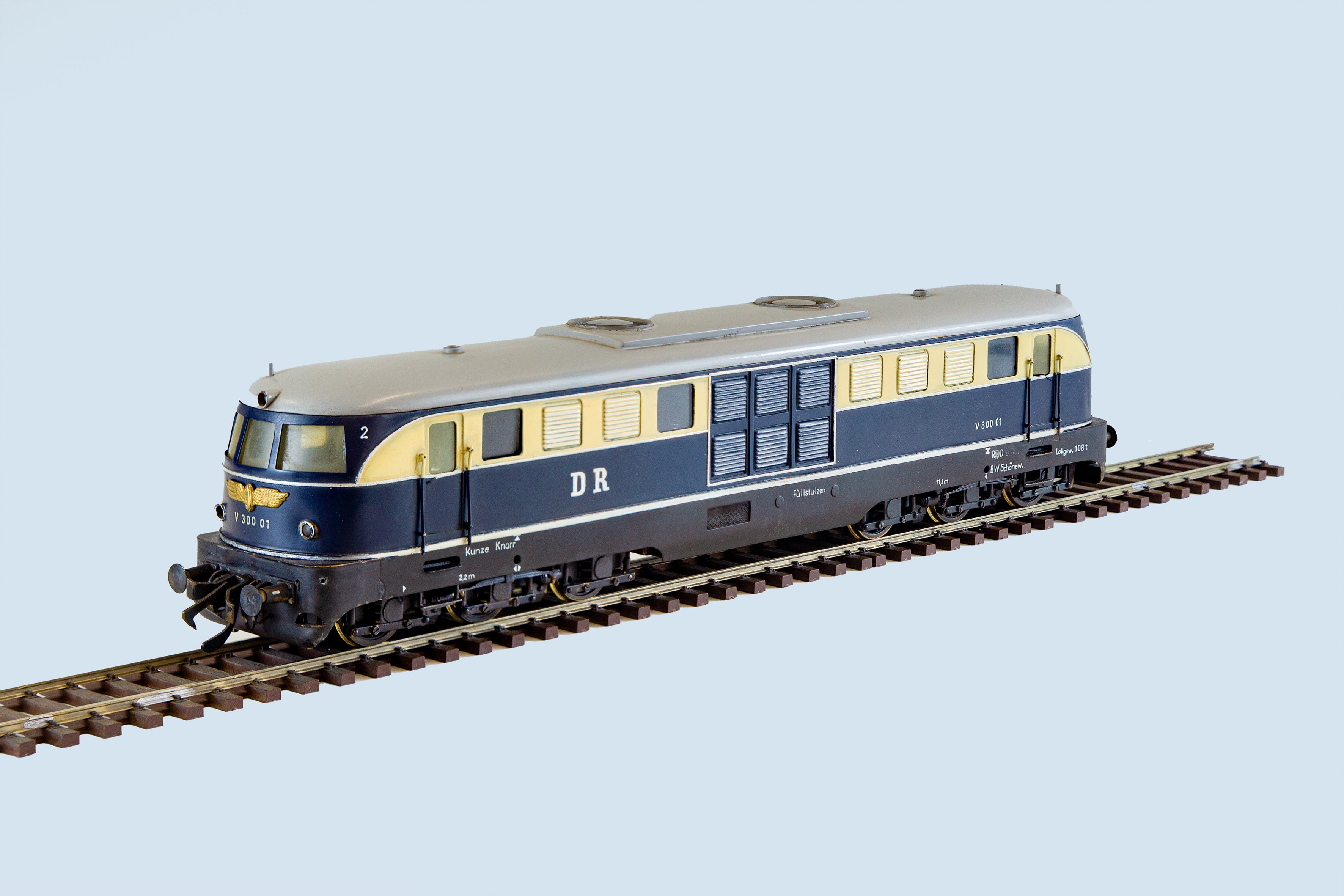 Die V 300-Familie der DR(Band 1 & 2)