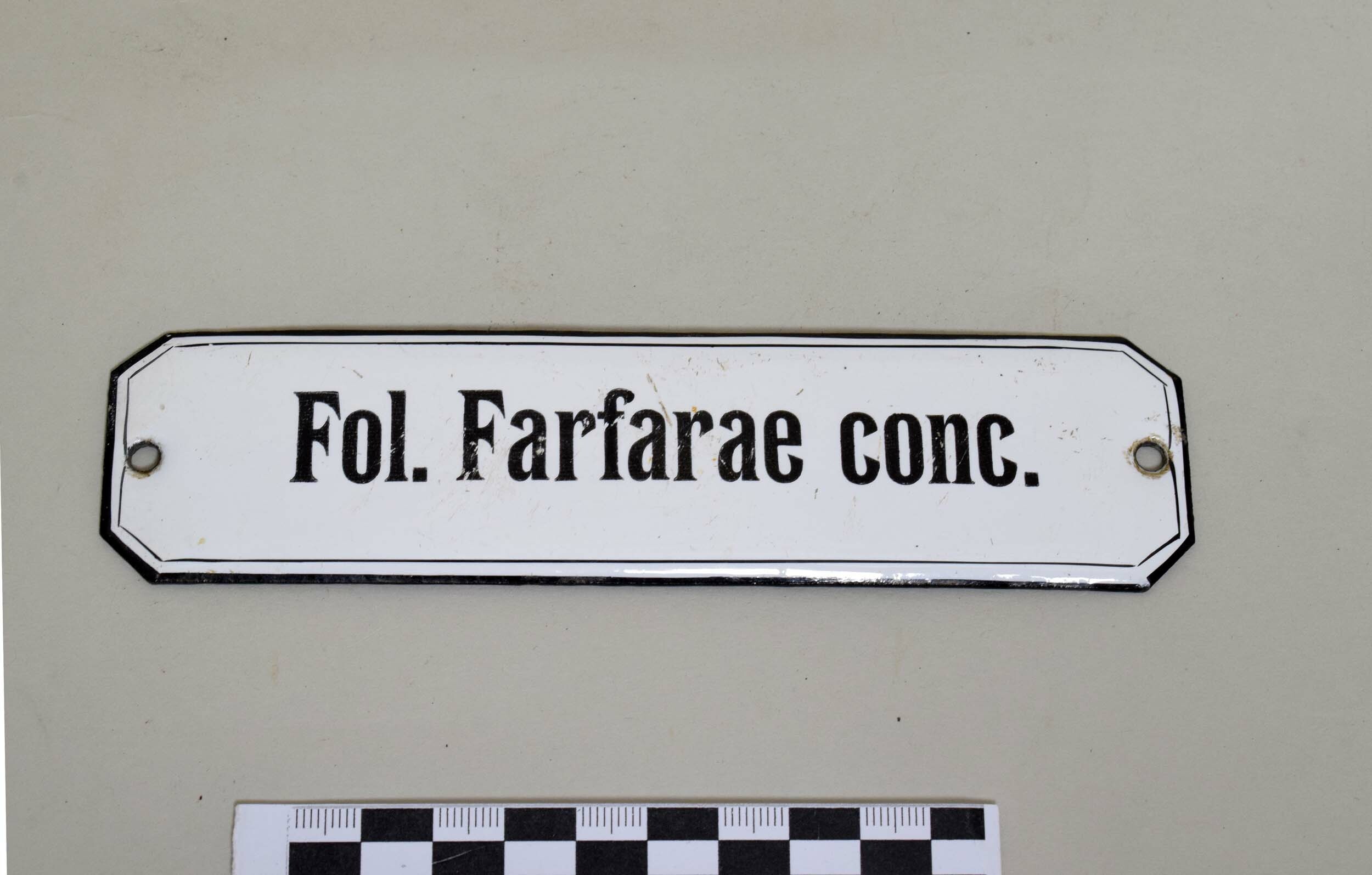 Emailschild "Fol. Farfarae conc." (Heimatmuseum Dohna CC BY-NC-SA)