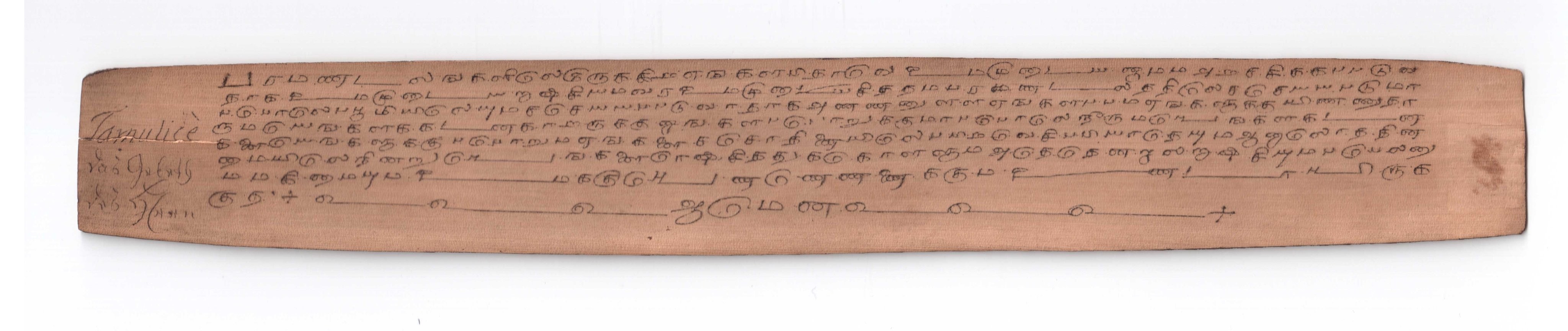 Tamilisches Palmblattmanuskript (Museum - Naturalienkabinett Waldenburg CC BY-NC-SA)
