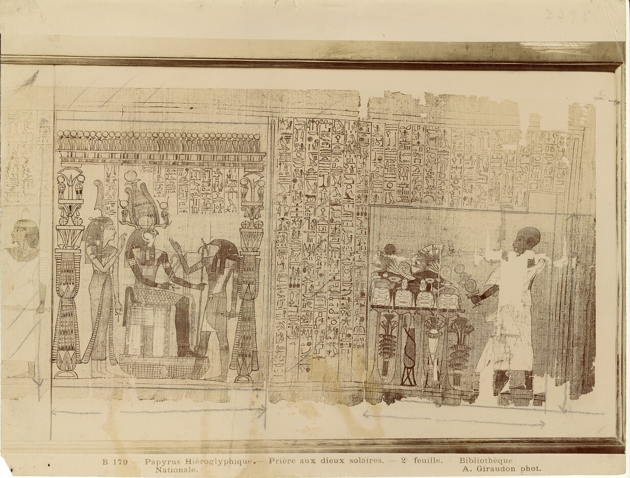 Papyrus (Museum - Naturalienkabinett Waldenburg CC BY-NC-SA)
