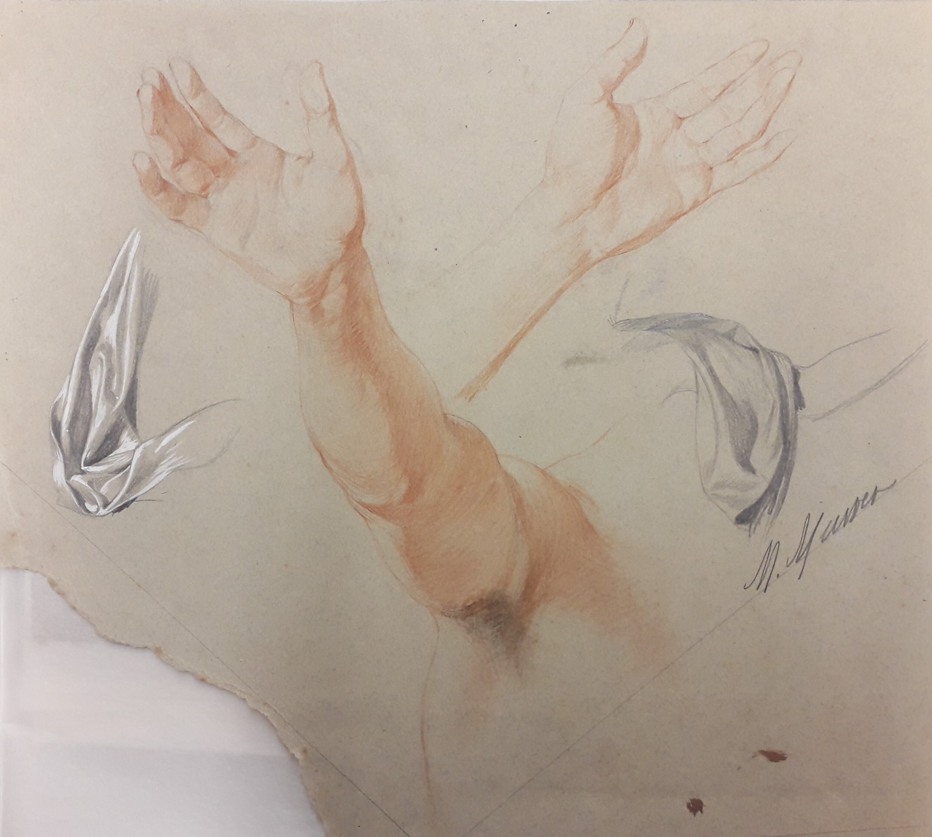 Studien zu einem Arm, Händen und Gewandfalten (Museum - Naturalienkabinett Waldenburg CC BY-NC-SA)