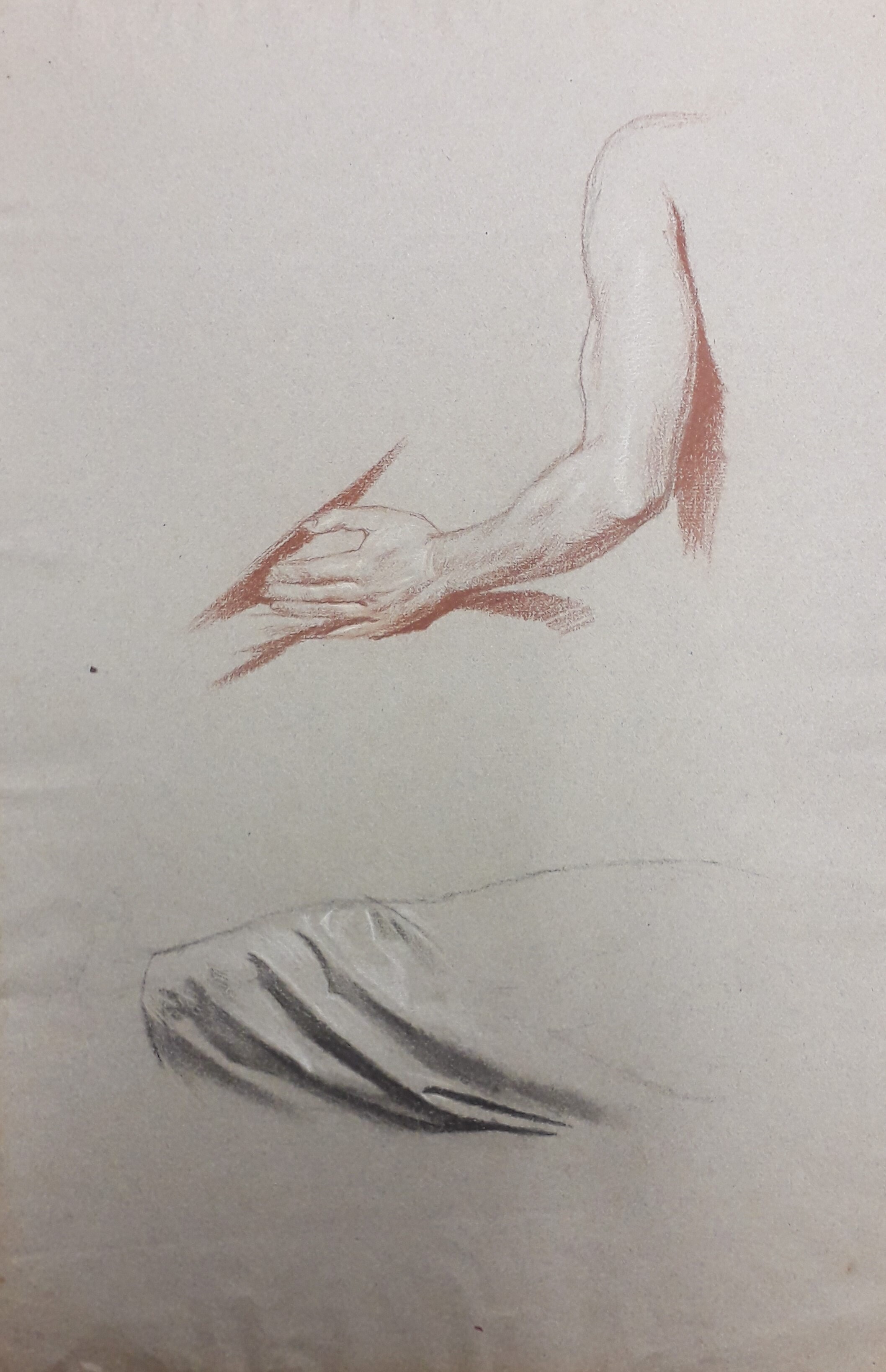 Studie zu einem Arm und Faltenwurf (Museum - Naturalienkabinett Waldenburg CC BY-NC-SA)