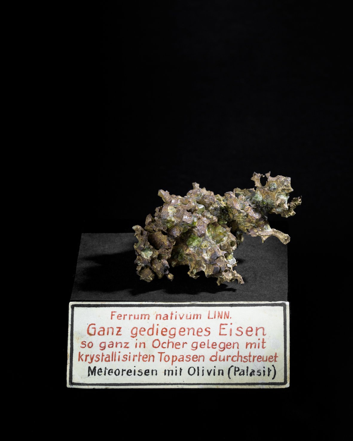Meteorit von Krasnojarsk (Museum - Naturalienkabinett Waldenburg CC BY-NC-SA)