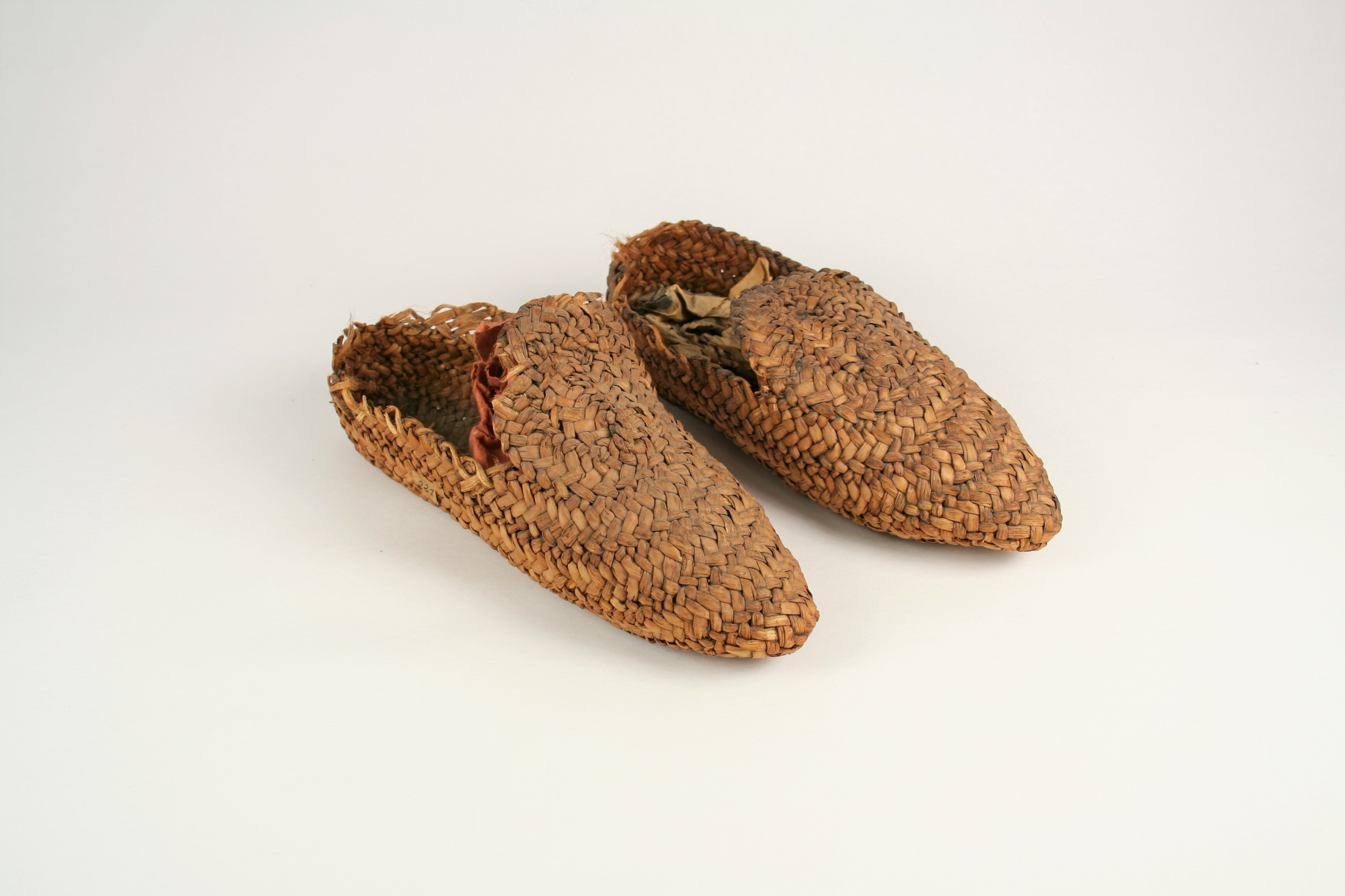 Türkische Männerpantoffeln (Museum - Naturalienkabinett Waldenburg CC BY-NC-SA)