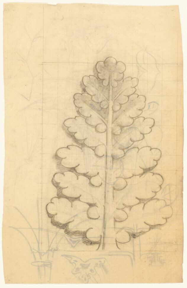 Querschnitte von Fruchtknoten (Entwurf zu einer Wandtafel) (Museum - Naturalienkabinett Waldenburg CC BY-NC-SA)