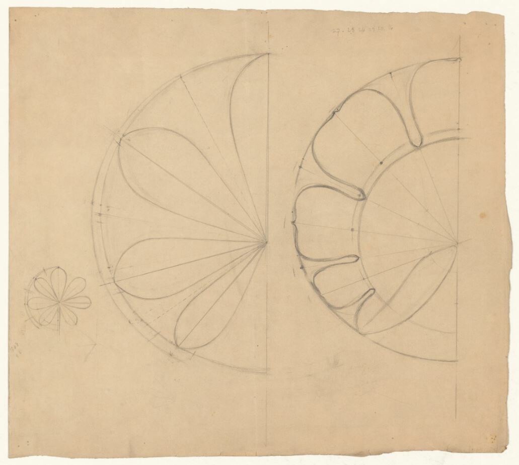 Schematisierte Blatt- und Blütenformen (Skizze zu einer Wandtafel) (Museum - Naturalienkabinett Waldenburg CC BY-NC-SA)