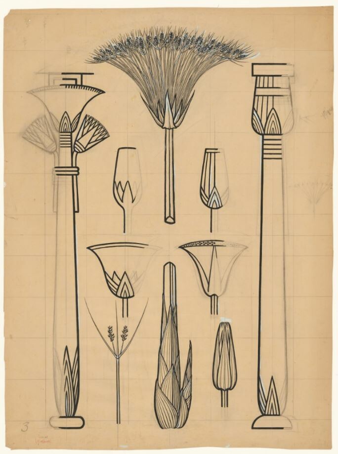 Blütenstand von Araceen (Entwurf zu einer Wandtafel) (Museum - Naturalienkabinett Waldenburg CC BY-NC-SA)