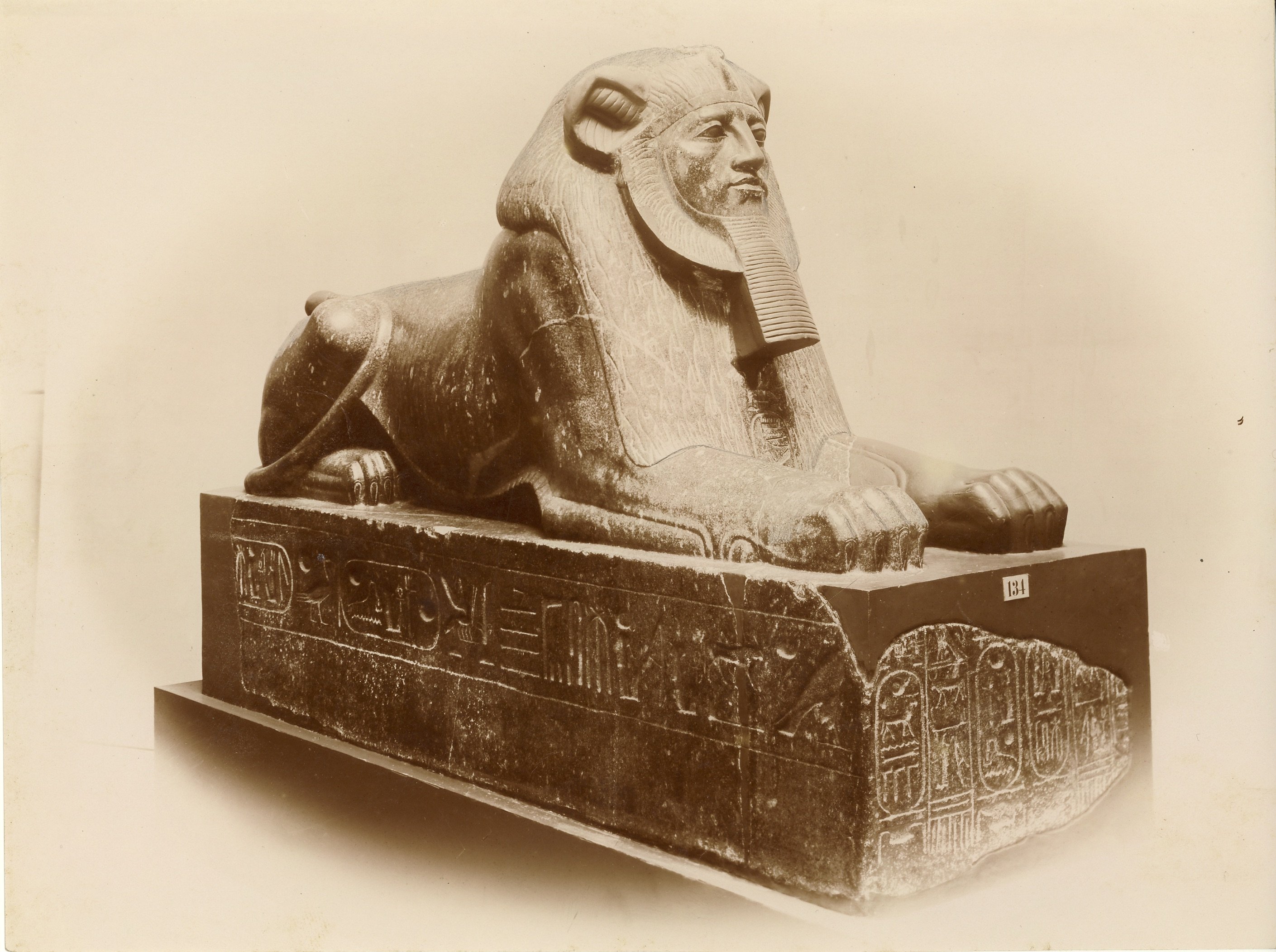 Fotografie Sphinx (Museum - Naturalienkabinett Waldenburg CC BY-NC-SA)