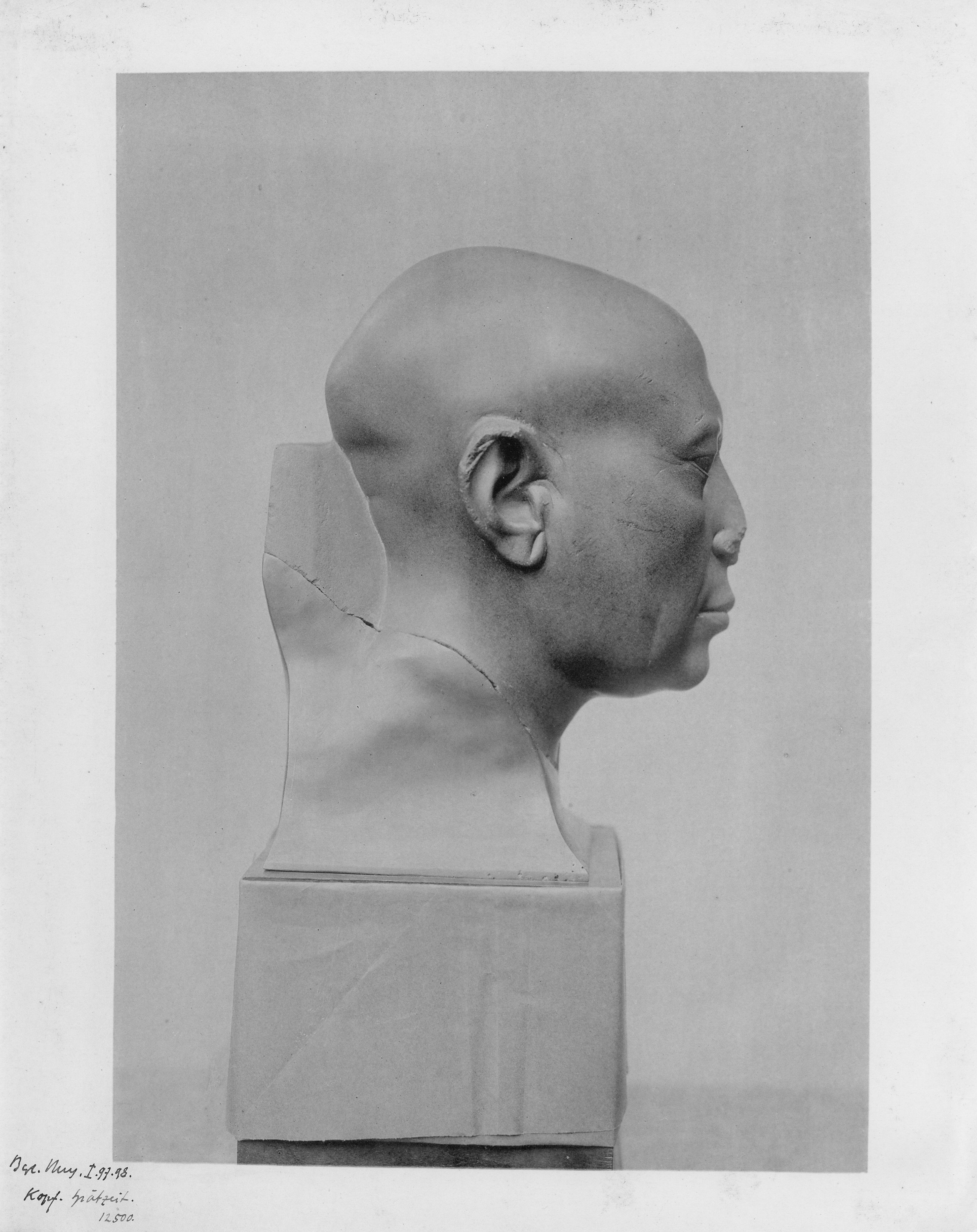 Fotografie Kopf eines Priesters (Museum - Naturalienkabinett Waldenburg CC BY-NC-SA)