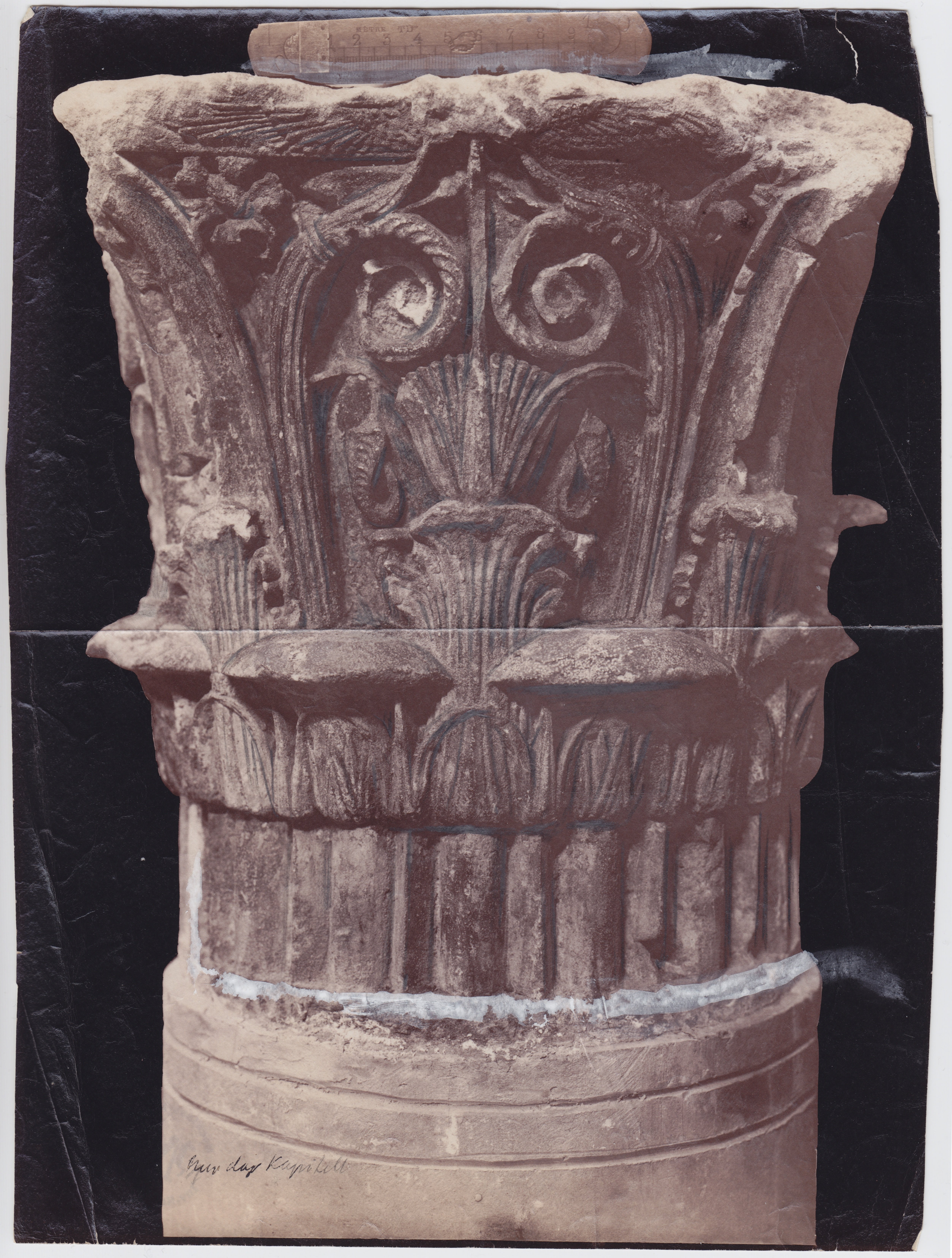 Säulenkapitell aus Alexandria (Museum - Naturalienkabinett Waldenburg CC BY-NC-SA)