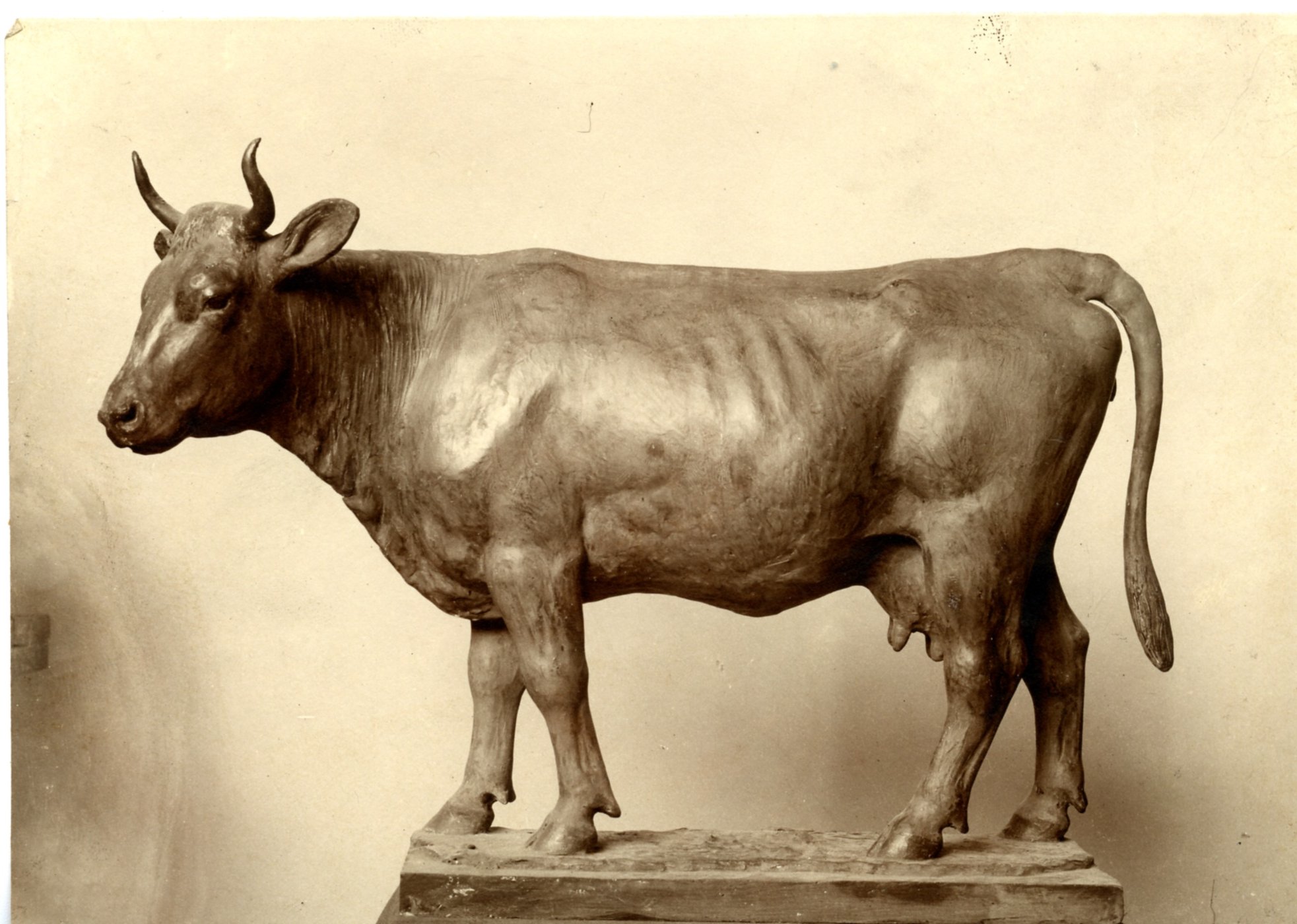 Modell eines Stieres (Museum Naturalienkabinett Waldenburg CC BY-NC-SA)