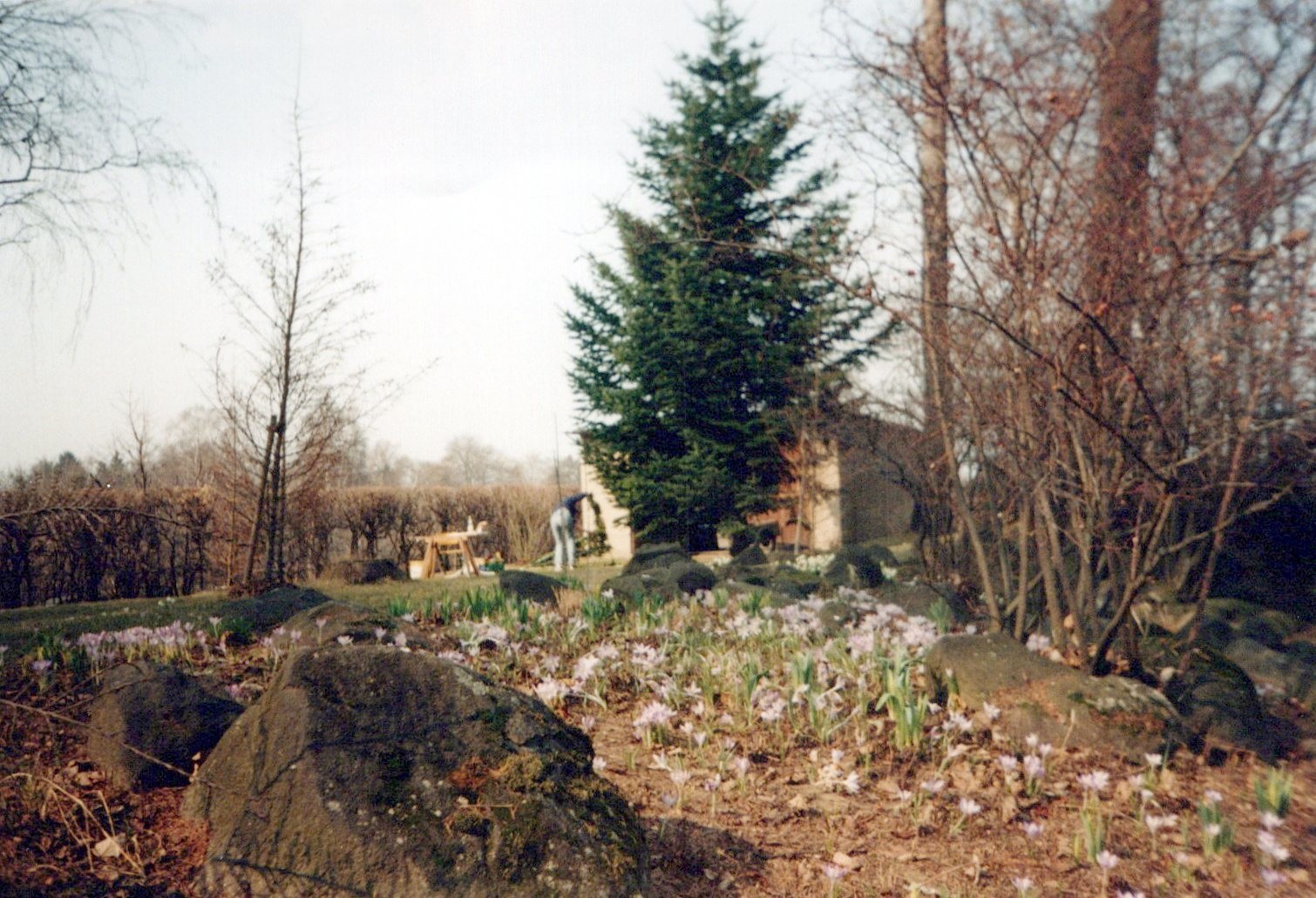 Fotografie: Garten oberhalb Teich (Haus Schminke RR-F)