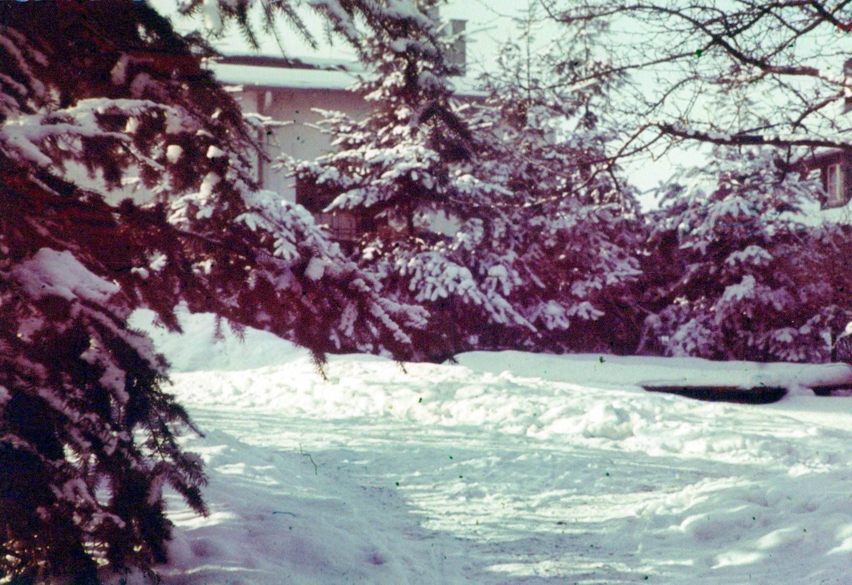 Fotografie: Garten im Winter Schnee (Haus Schminke RR-F)
