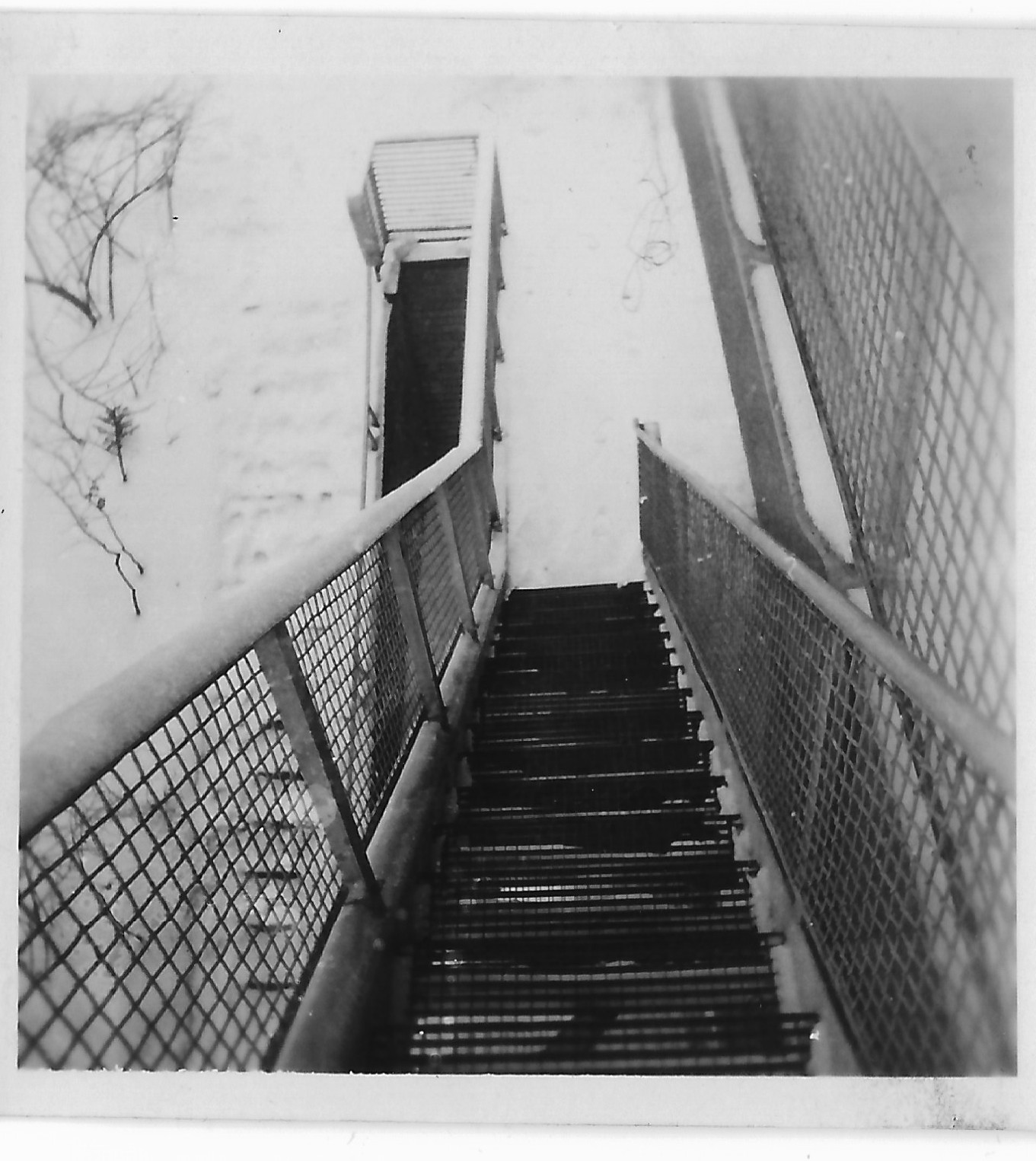 Fotografie: Treppe außen (Haus Schminke RR-F)