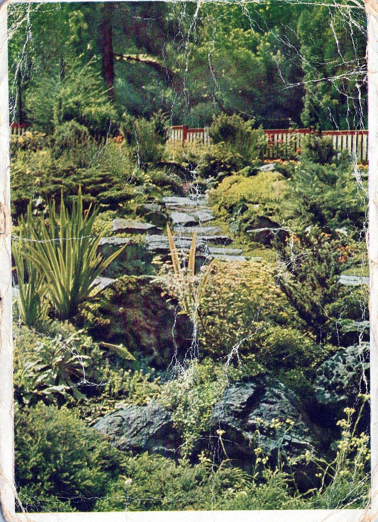 Postkarte: Garten (Haus Schminke RR-F)