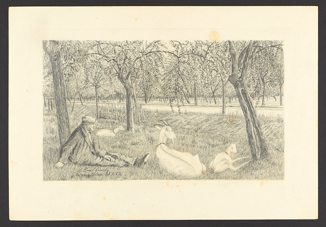Am Baum sitzender alter Mann und drei ruhende Ziegen (Börde-Museum Burg Ummendorf CC BY-NC-SA)