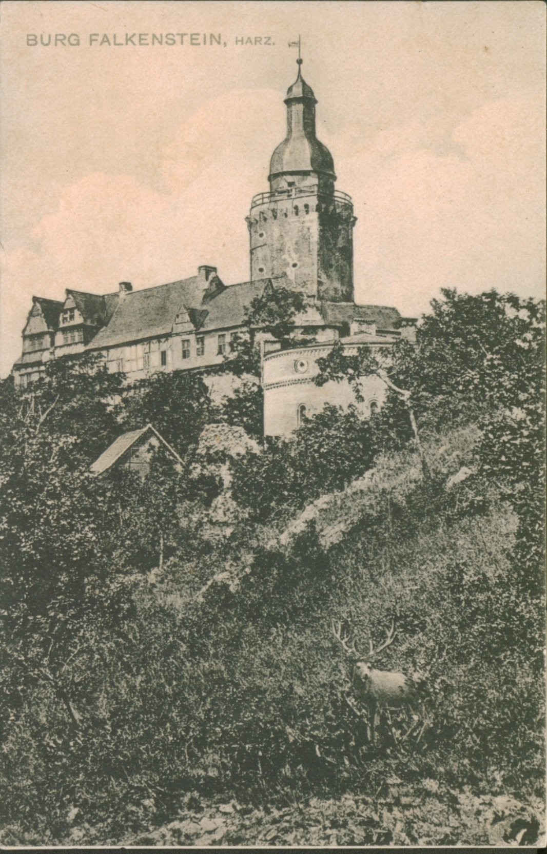 Ansichtskarte: Burg Falkenstein, Harz (Kulturstiftung Sachsen-Anhalt CC BY-NC-SA)