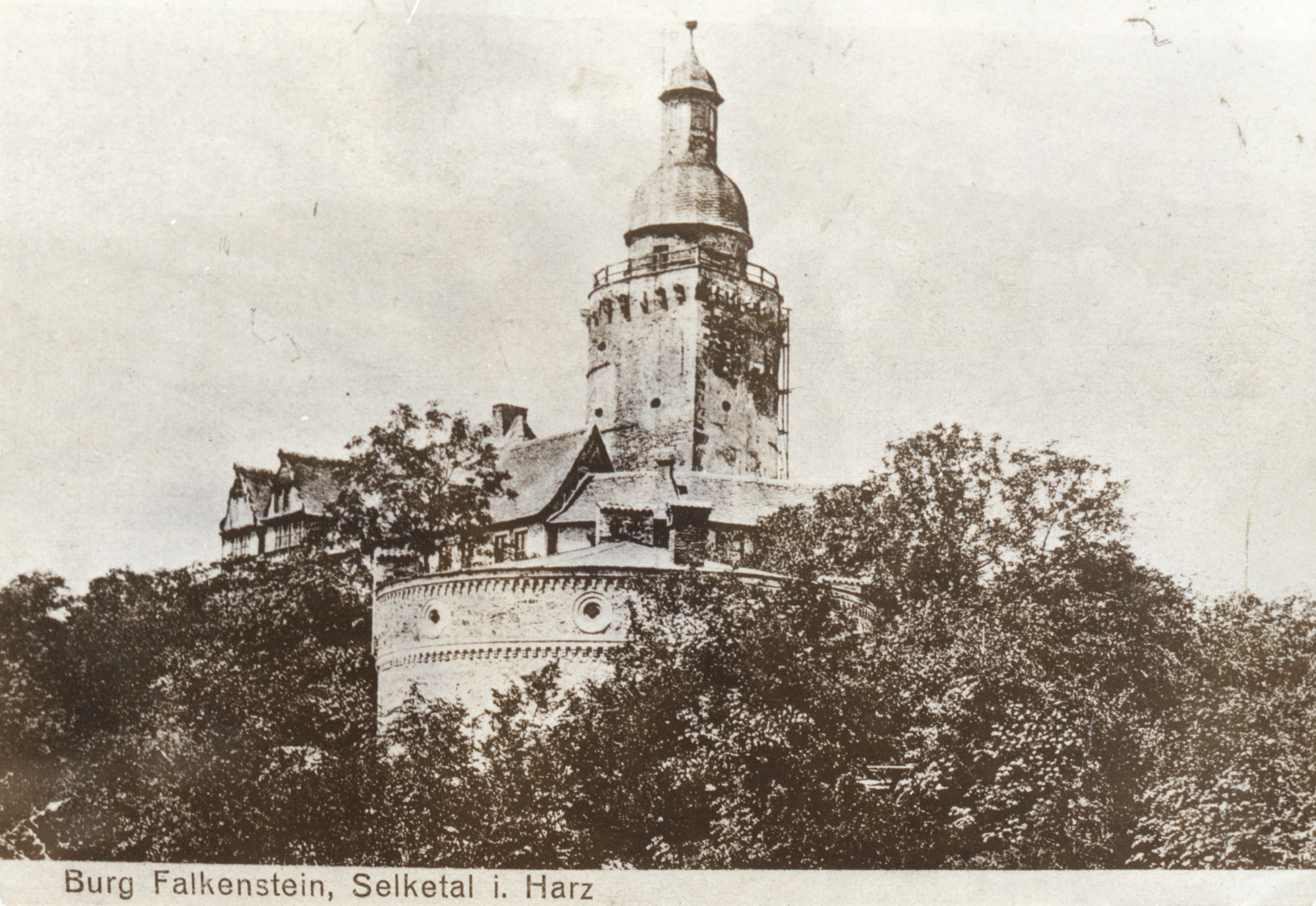 Ansichtskarte: Burg Falkenstein, Selketal i. Harz (Kulturstiftung Sachsen-Anhalt CC BY-NC-SA)