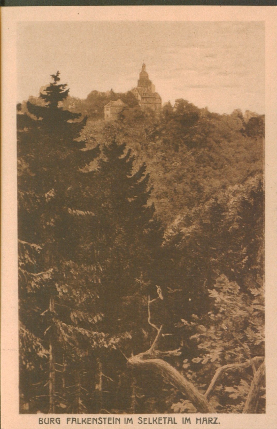 Ansichtskarte: Burg Falkenstein im Selketal im Harz (Kulturstiftung Sachsen-Anhalt - Museum Burg Falkenstein CC BY-NC-SA)