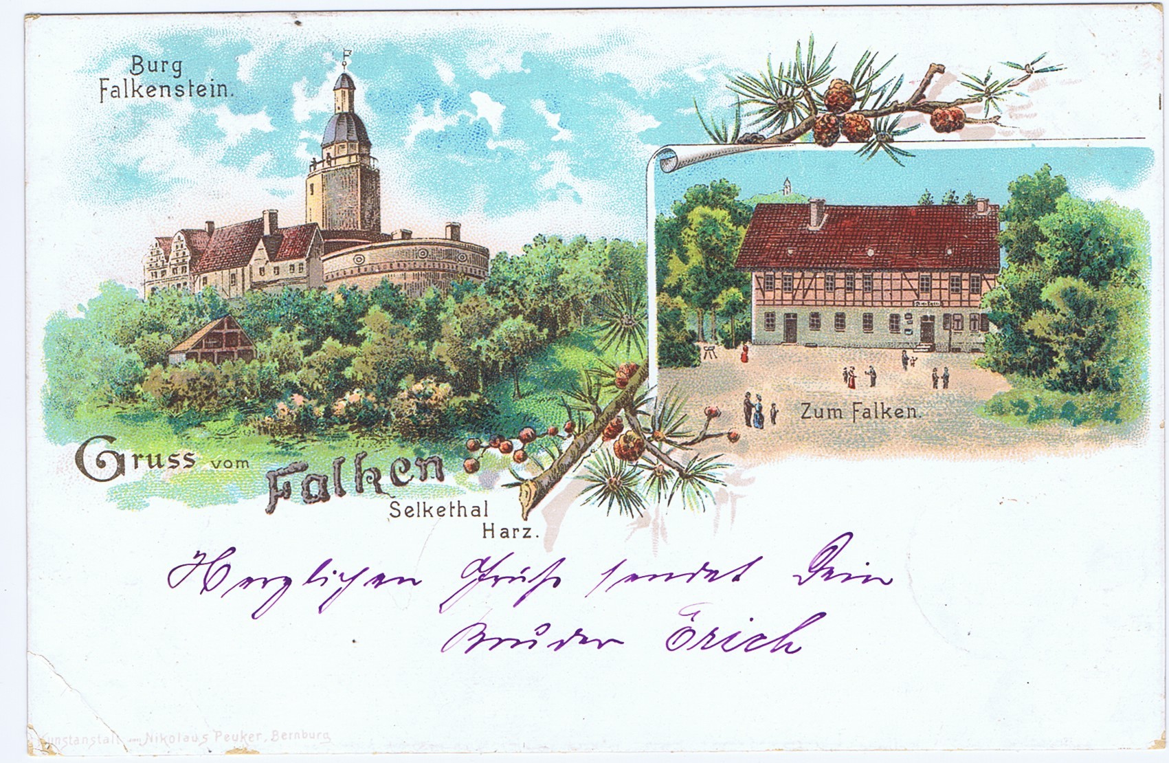Ansichtskarte: Burg Falkenstein. Zum Falken. (Kulturstiftung Sachsen-Anhalt CC BY-NC-SA)