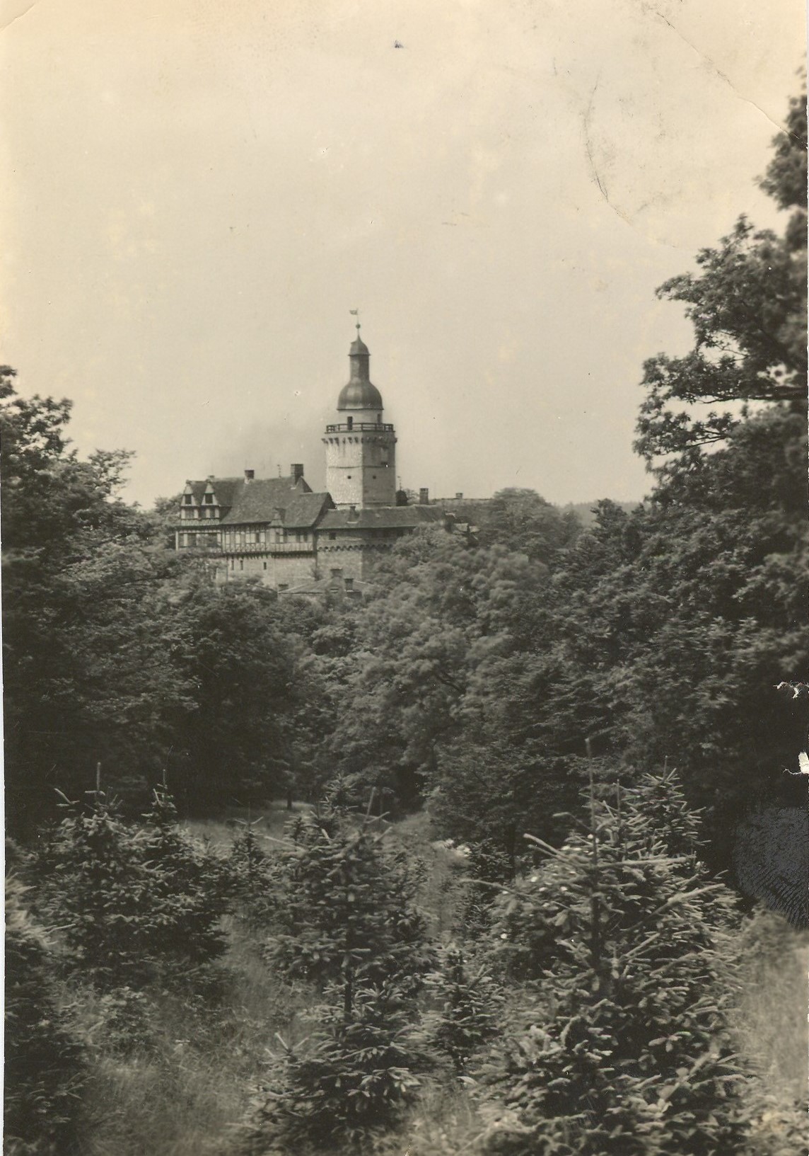 Ansichtskarte: Burg Falkenstein (Kulturstiftung Sachsen-Anhalt CC BY-NC-SA)