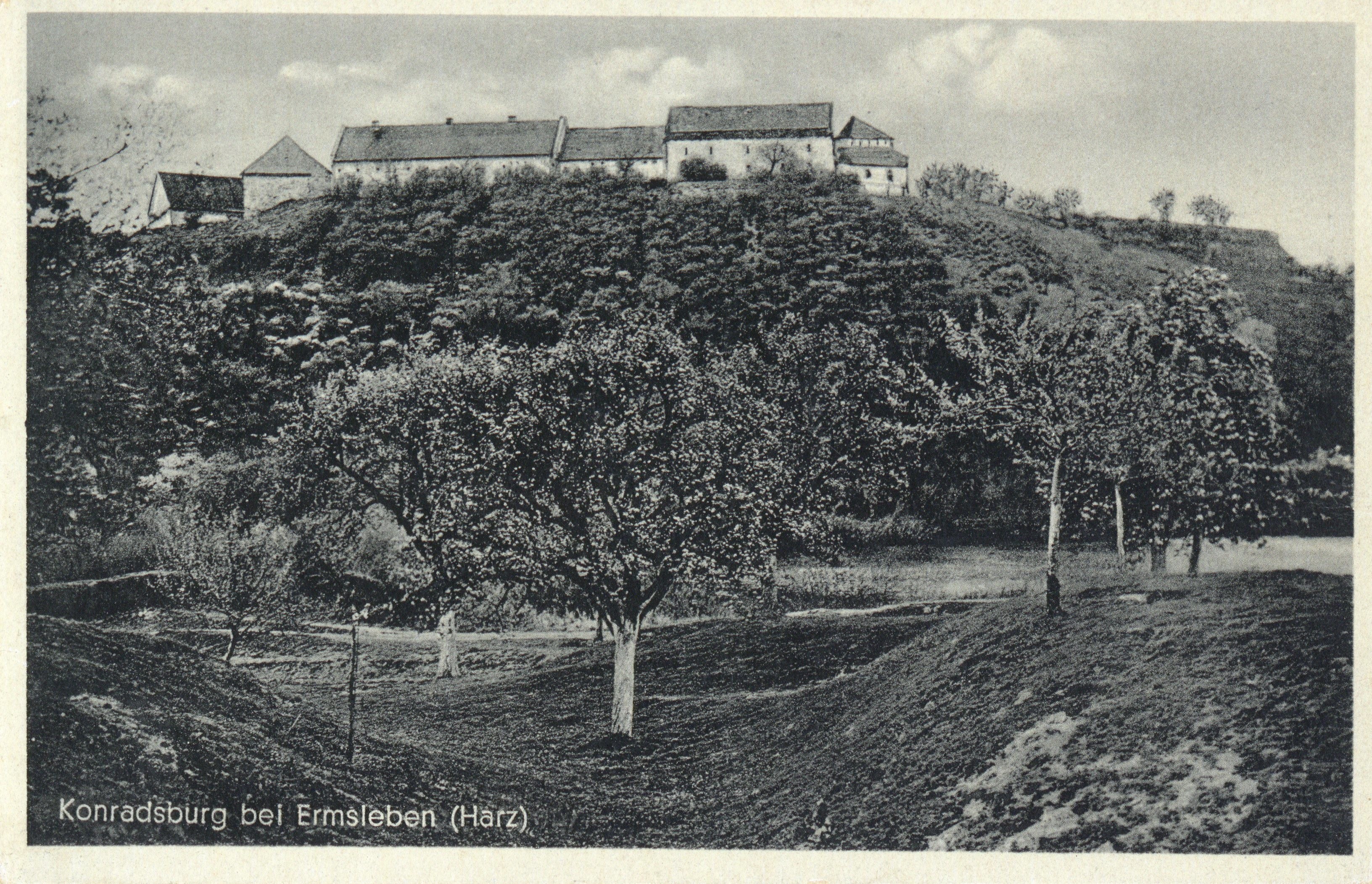 Ansichtskarte: Konradsburg bei Ermsleben (Harz) (Kulturstiftung Sachsen-Anhalt CC BY-NC-SA)