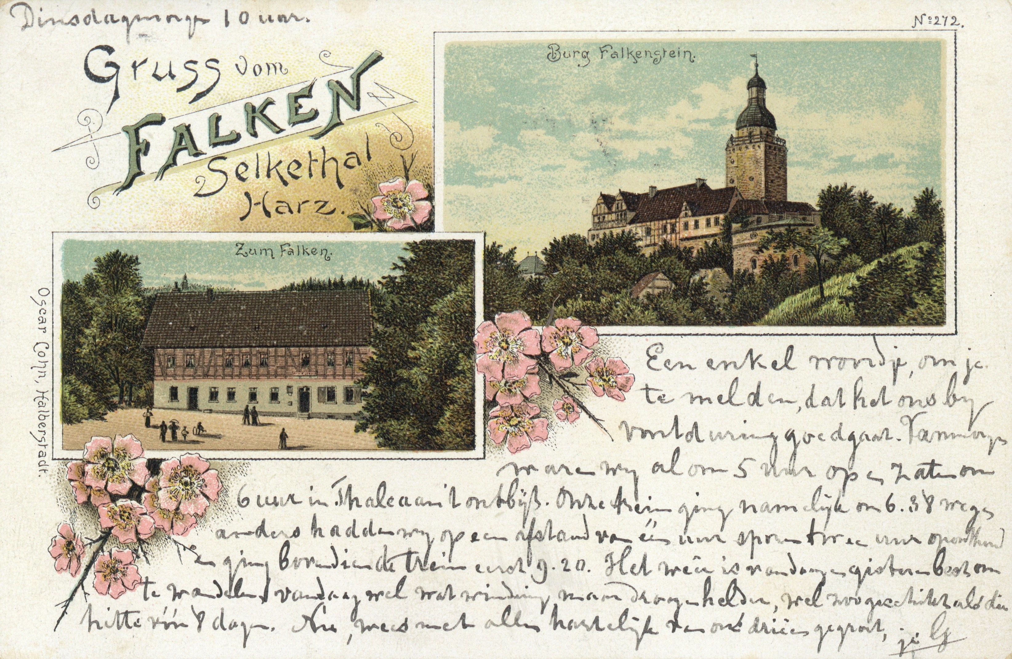 Ansichtskarte: Gruss vom Falken Selkethal Harz. (Kulturstiftung Sachsen-Anhalt CC BY-NC-SA)