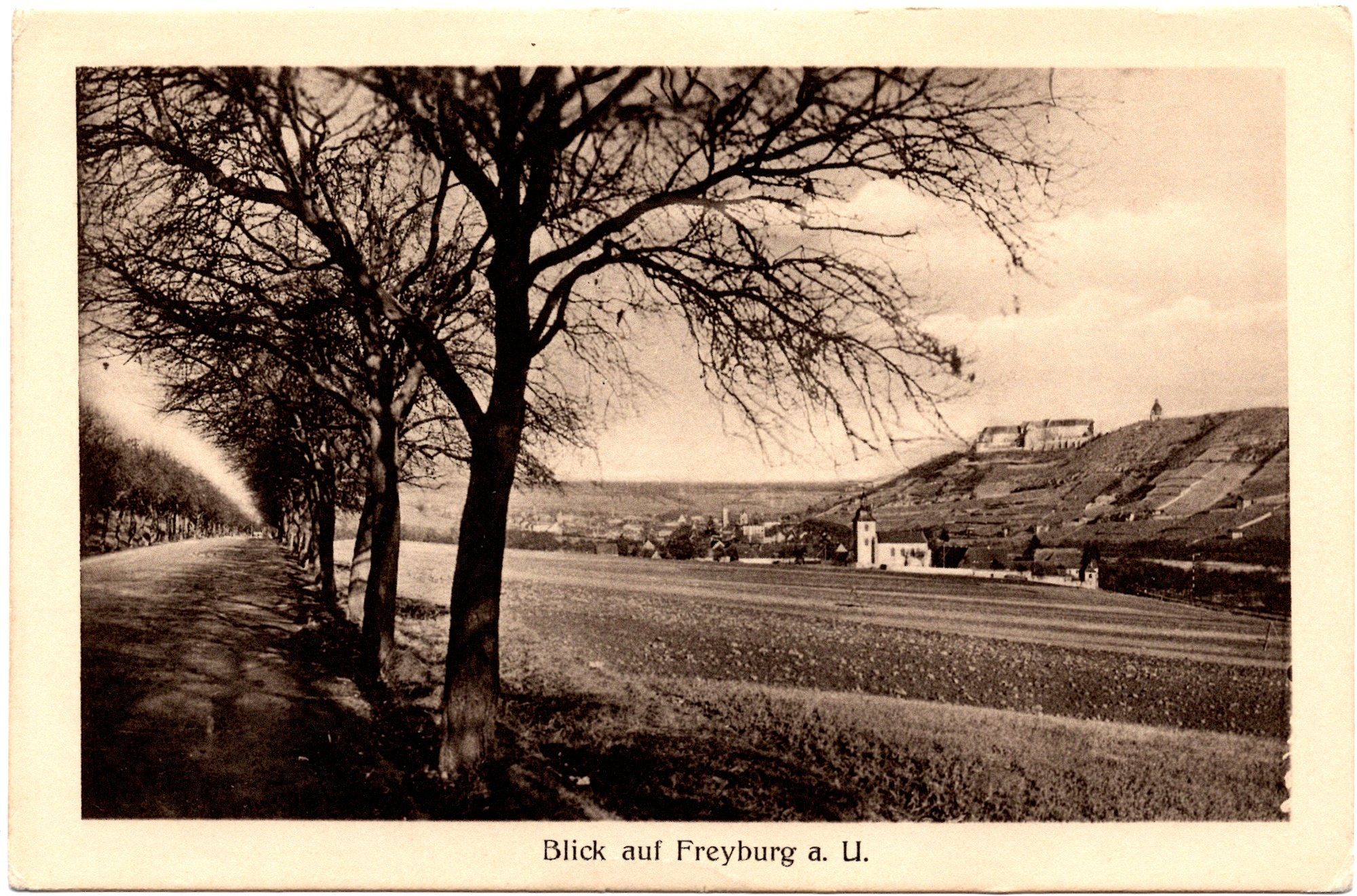 Blick auf Freyburg a. U. (Kulturstiftung Sachsen-Anhalt CC BY-NC-SA)