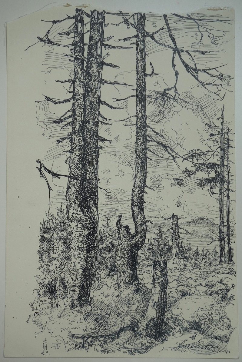 Blick zum Wurmberg, von Christian Hallbauer, September 1924 (Schloß Wernigerode GmbH RR-F)