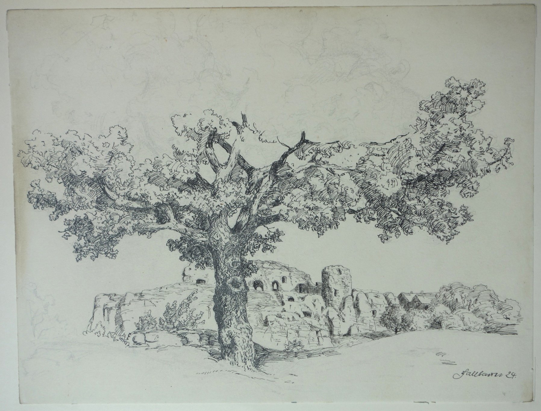 Alter Baum am Regenstein, von Christian Hallbauer, Oktober 1924 (Schloß Wernigerode GmbH RR-F)