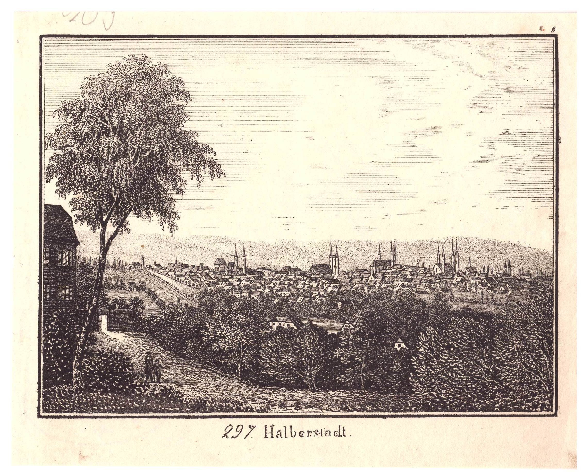 Halberstadt: Stadt vom Bullerberg, um 1850 (aus: Bilderbogen Belehrung) (Schloß Wernigerode GmbH RR-F)
