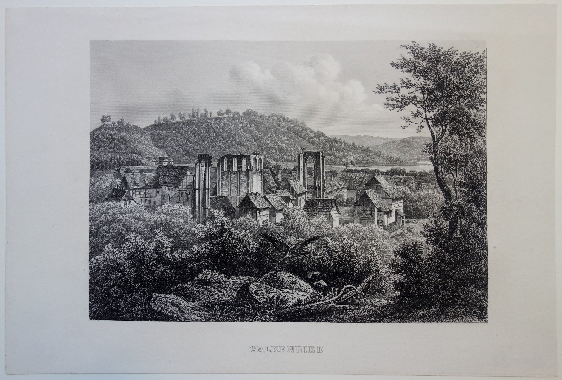 Walkenried: Ort und Klosterruine von Nordosten, um 1860 (Schloß Wernigerode GmbH RR-F)