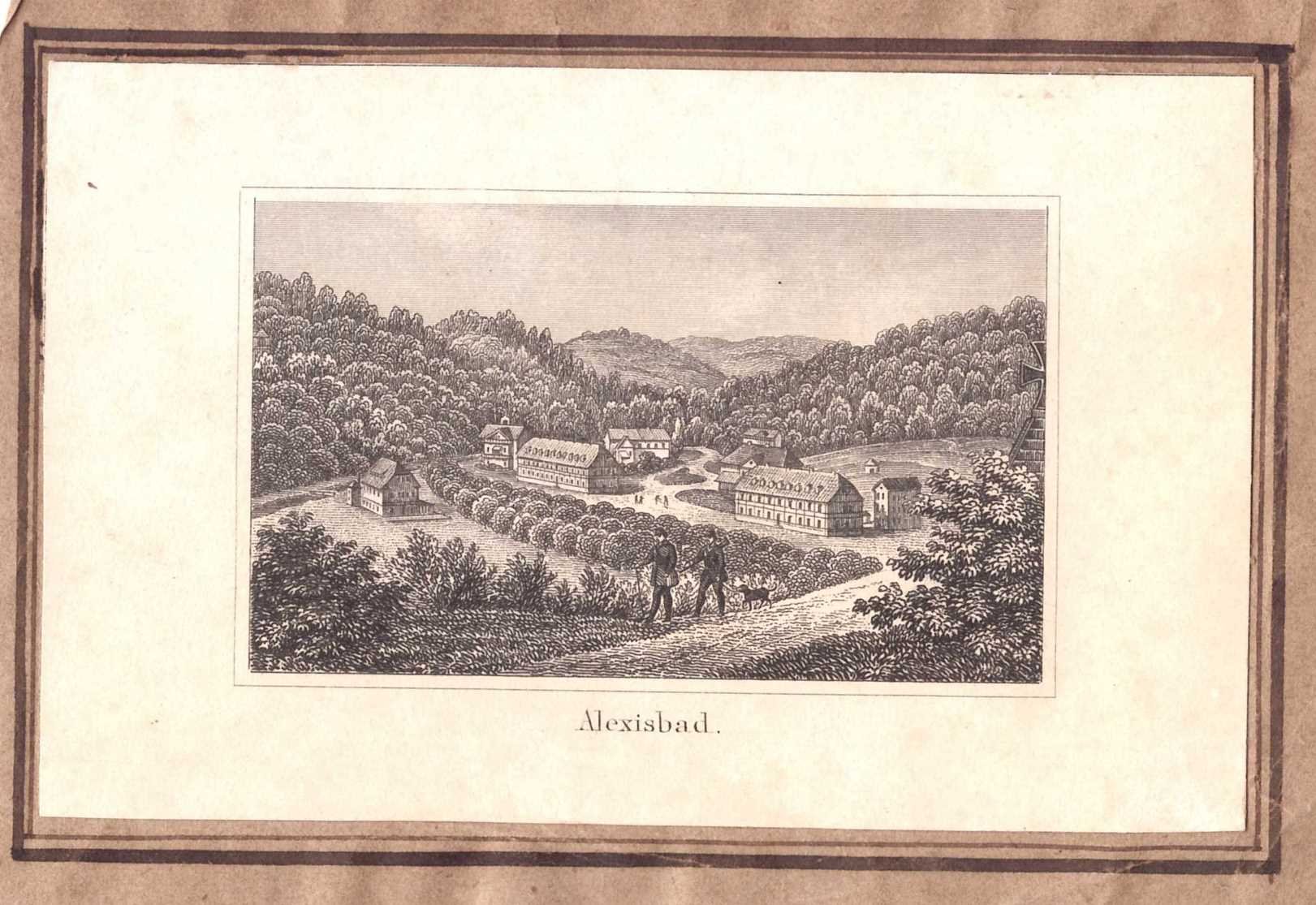 Alexisbad: Kurbad von der Schönsicht, 1855 (aus: Brückner "Harz-Album" Visitformat) (Schloß Wernigerode GmbH RR-F)