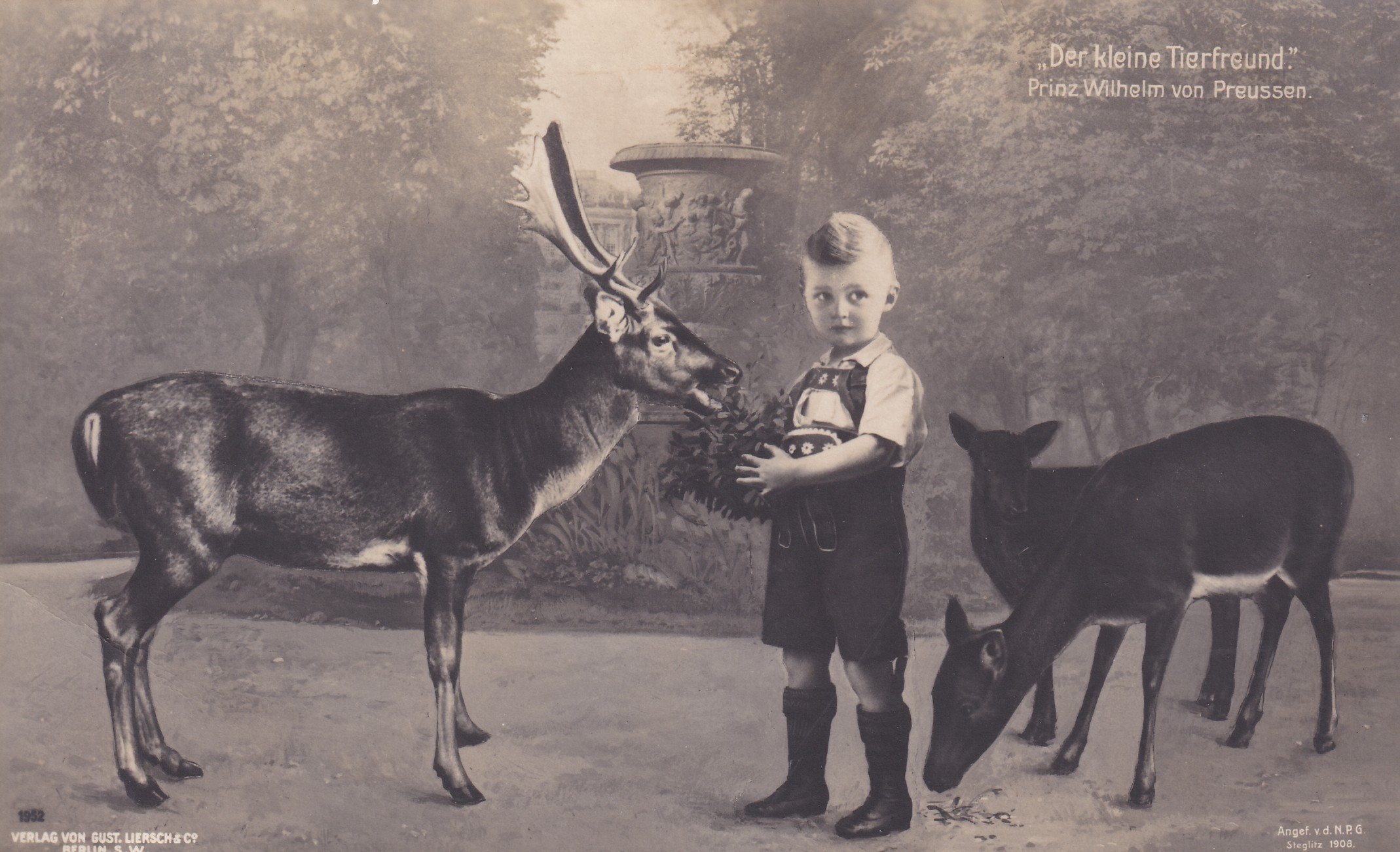 Bildpostkarte mit einer Fotomontage des Prinzen Wilhelm von Preußen (1906-1940) beim Füttern von Damwild, 1908 (Schloß Wernigerode GmbH RR-F)