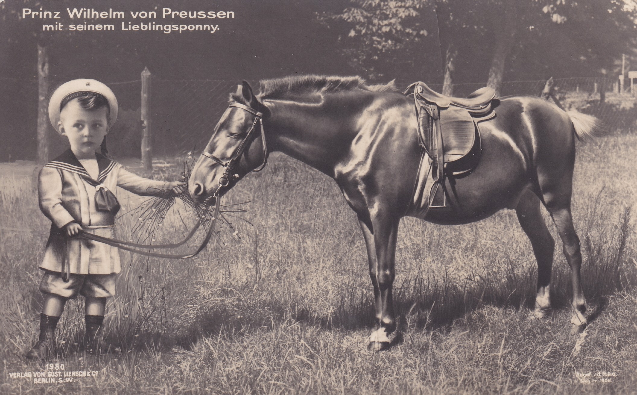 Bildpostkarte mit Fotomontage des Prinzen Wilhelm von Preußen (1906-1940) mit Pony, 1908 (Schloß Wernigerode GmbH RR-F)