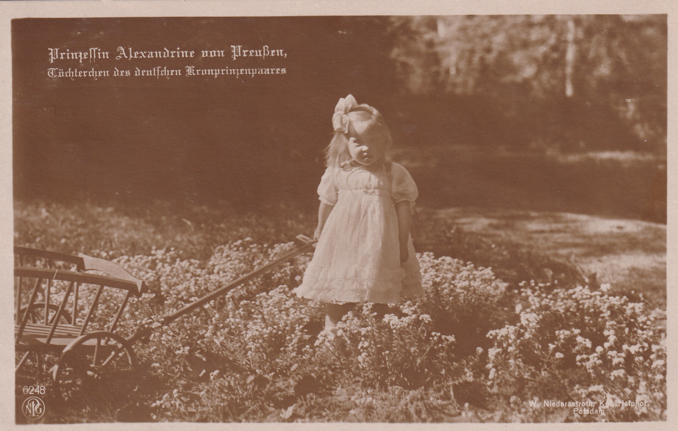 Bildpostkarte mit Foto der Prinzessin Alexandrine von Preußen (1915-1980) mit Leiterwagen im Garten, 1917. (Schloß Wernigerode GmbH RR-F)
