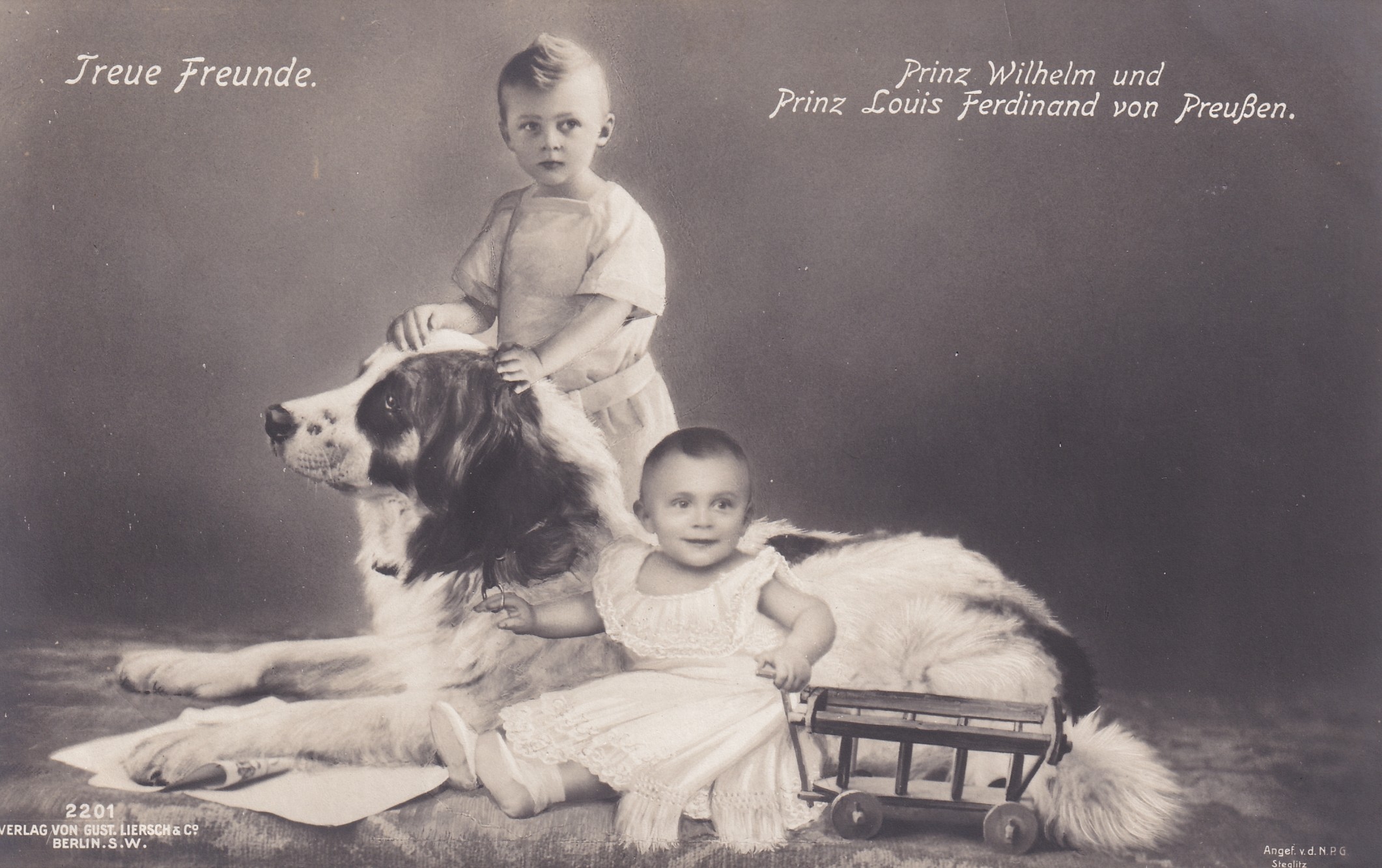 Bildpostkarte mit Fotomontage der Prinzen Wilhelm (1906-1940) und Louis Ferdinand (1907-1995) von Preußen mit Hund, 1908. (Schloß Wernigerode GmbH RR-F)