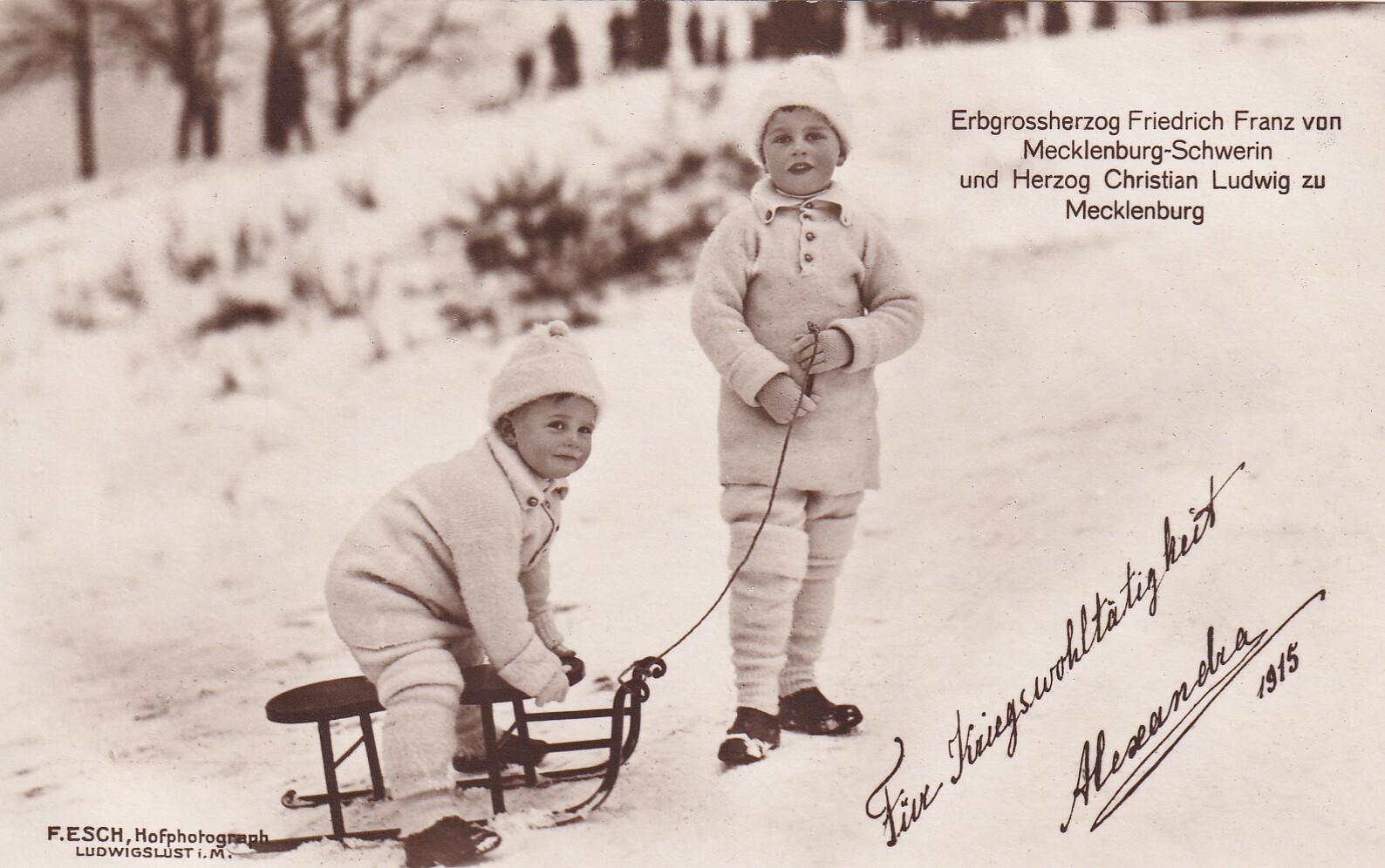 Bildpostkarte mit Foto der beiden Söhne von Großherzog Friedrich Franz IV. von Mecklenburg-Schwerin beim Schlittenfahren, 1915 (Schloß Wernigerode GmbH RR-F)