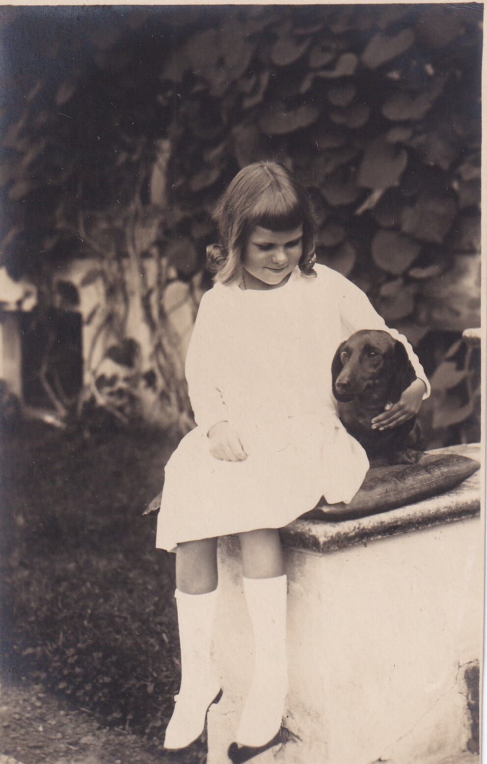 Bildpostkarte mit Foto der Woizlawa Herzogin zu Mecklenburg mit Dackel, um 1926 (Schloß Wernigerode GmbH RR-F)