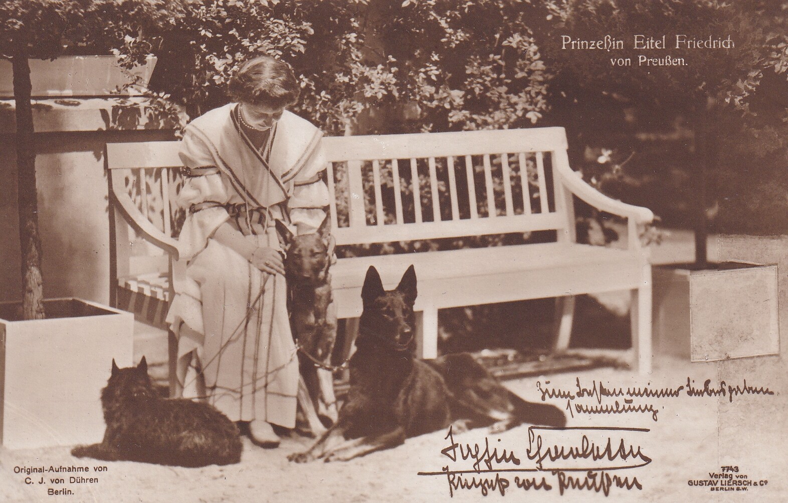 Bildpostkarte mit Foto der Prinzessin Sophie Charlotte von Preußen mit ihren Hunden, 1916 (Schloß Wernigerode GmbH RR-F)
