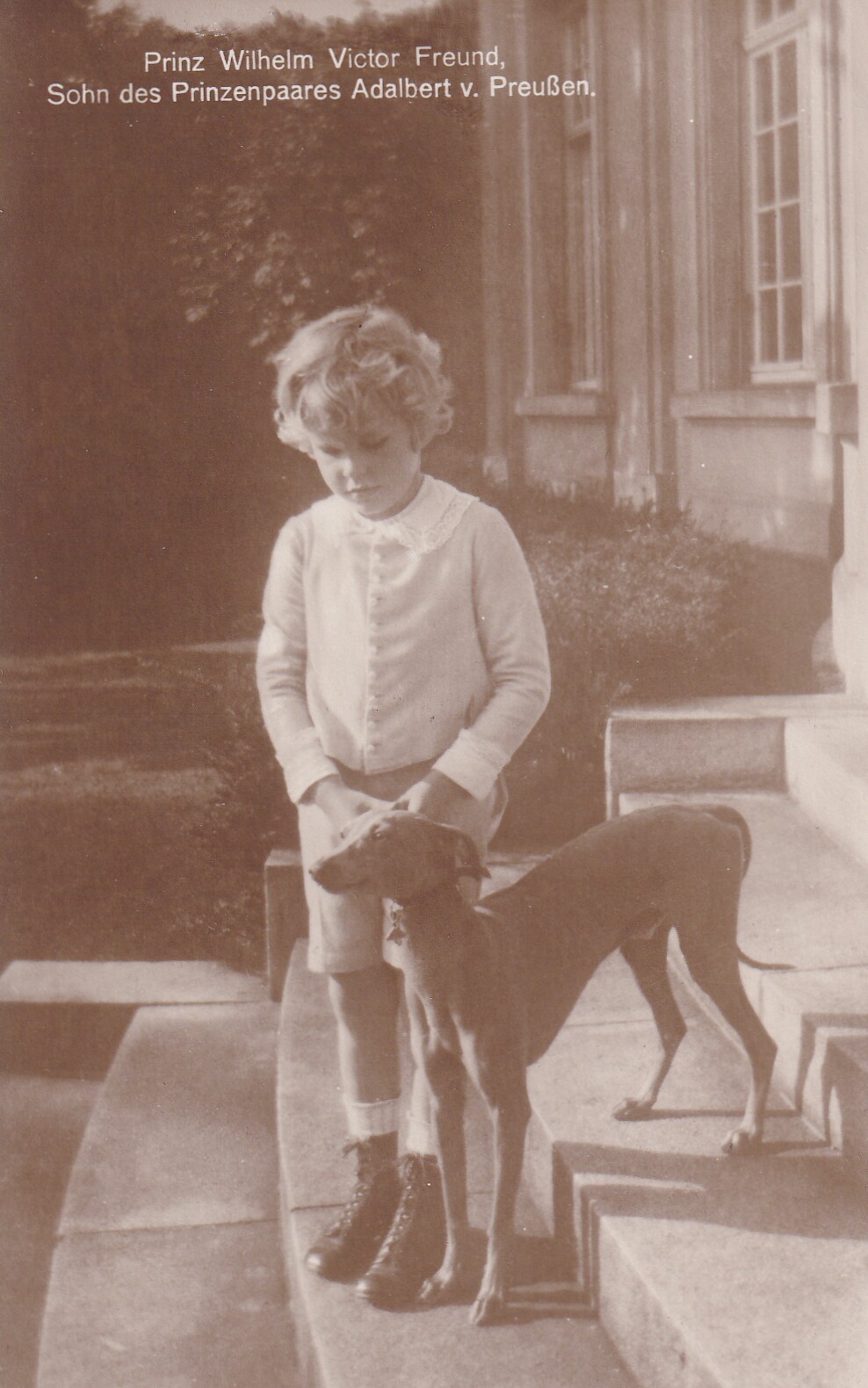 Bildpostkarte mit Foto von Wilhelm Victor Prinz von Preußen mit Windhund, 1924 (Schloß Wernigerode GmbH RR-F)