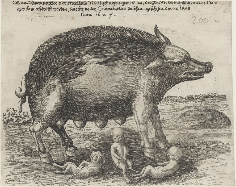 daß en Schweinmutter 3 erschrockliche Mißgeburten geworffen, dergleichen bei Manß gedencken Nic so// grausam erhört ist worden, wie hic in der Contraf (Kulturstiftung Sachsen-Anhalt Public Domain Mark)