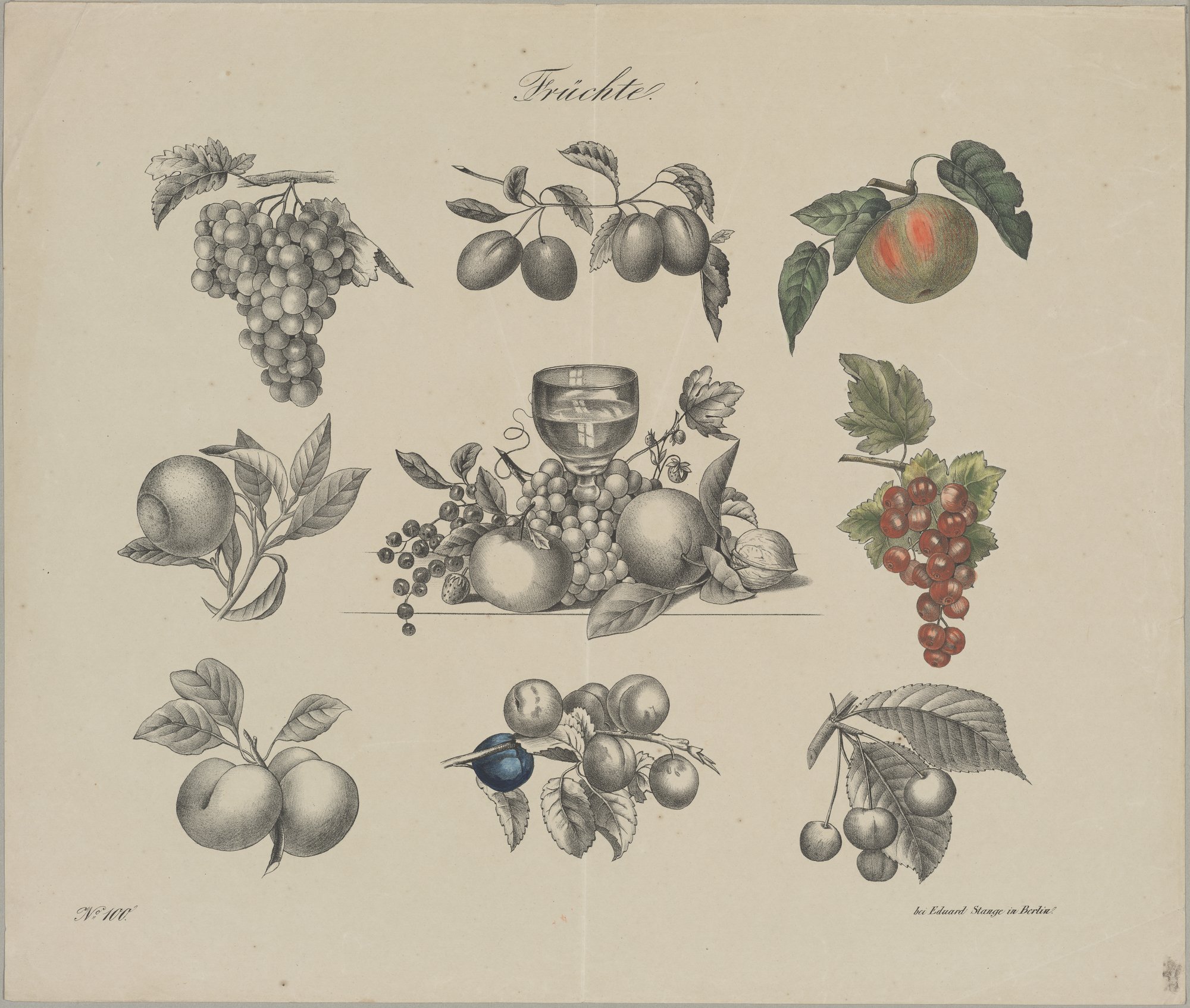 Früchte. (Kulturstiftung Sachsen-Anhalt Public Domain Mark)