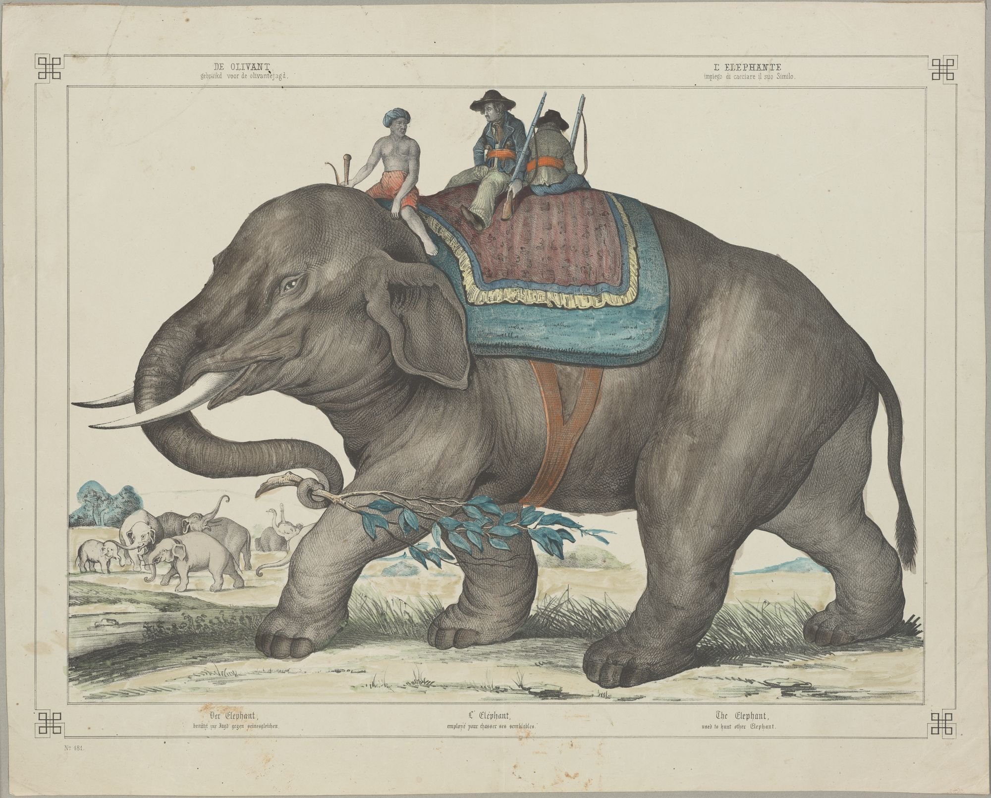 Der Elephant,/ benützt zur Jagd gegen seinesgleichen. (Kulturstiftung Sachsen-Anhalt Public Domain Mark)